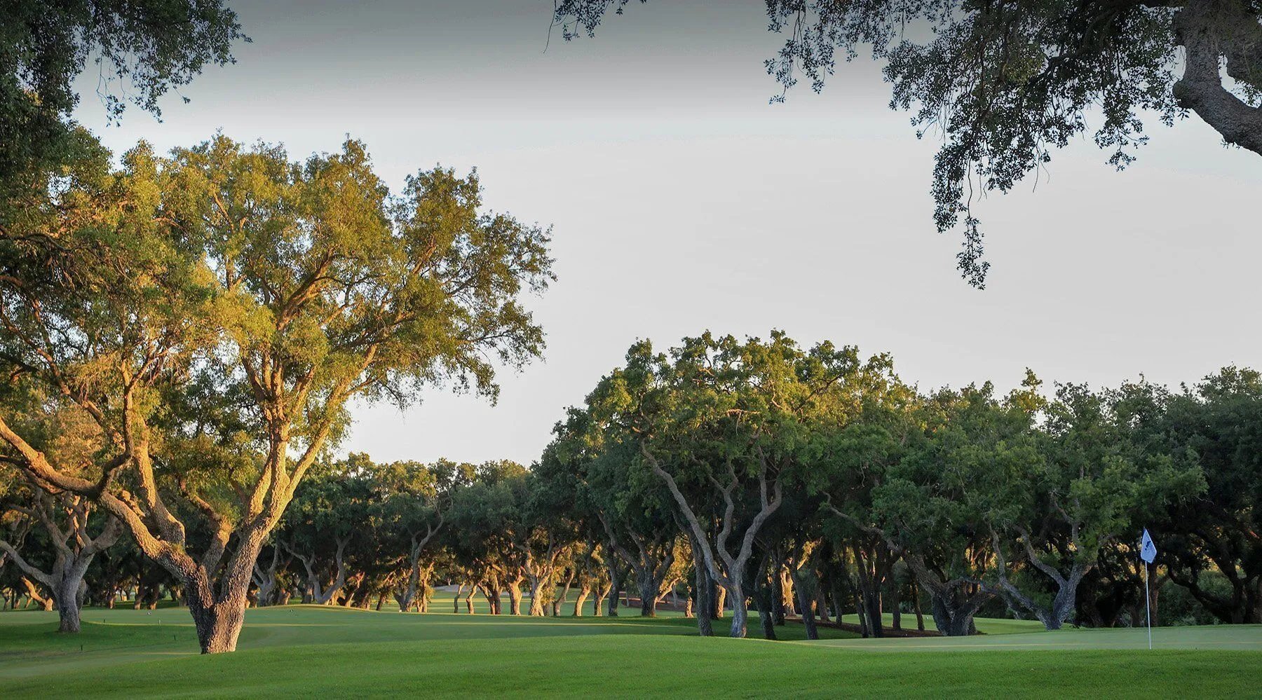 Real Club Valderrama Sotogrande Marbella