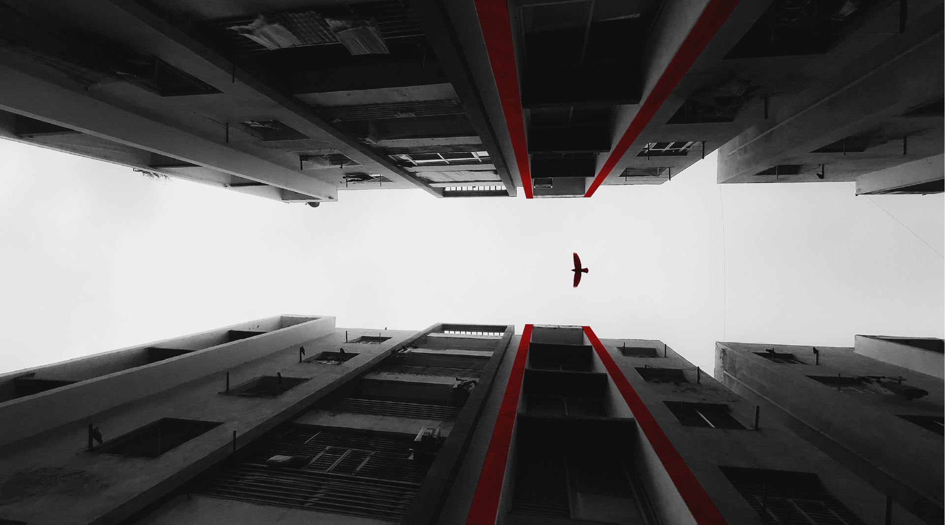 a bird flying over a building