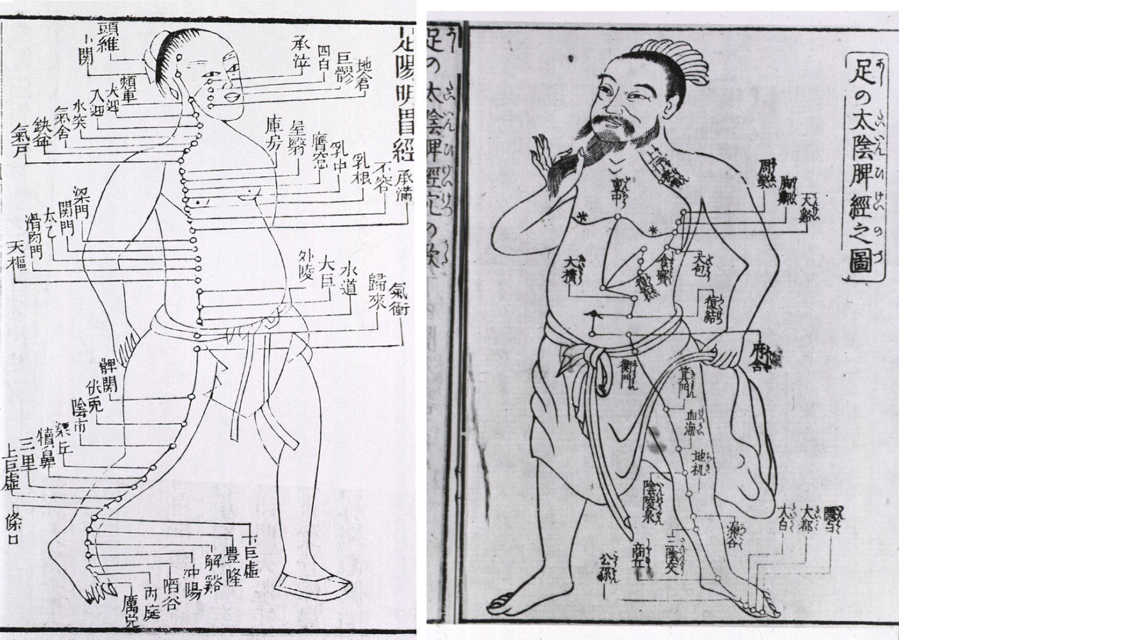 schéma ancien des méridiens de la médecine traditionnelle chinoise, caractère chinois