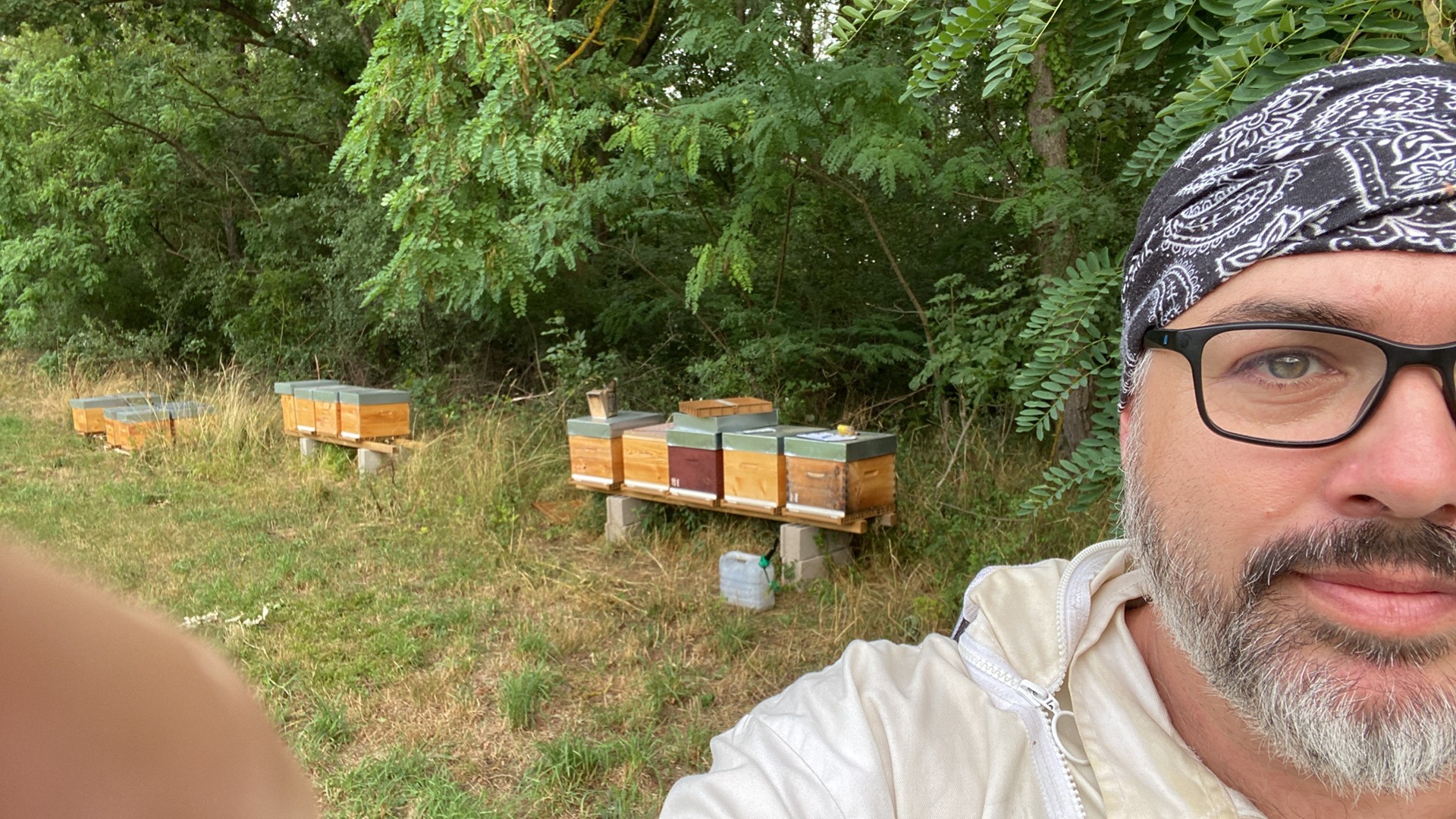 apiculteur en alsace devant ruches abeilles
