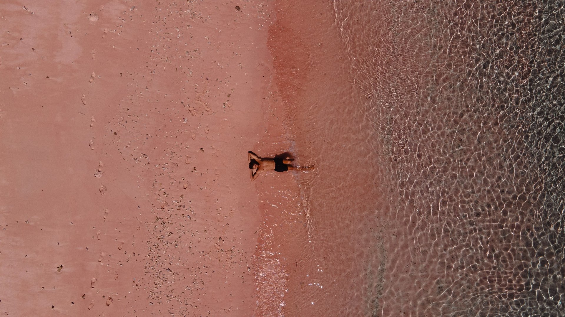 a dog is laying on the beach near the water