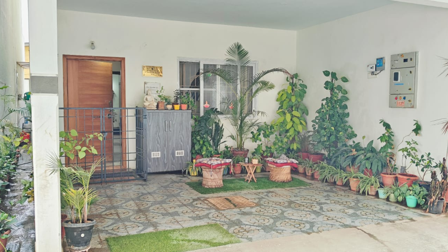 Our plants always the first one to greet you | Dog Homestay Boarding
