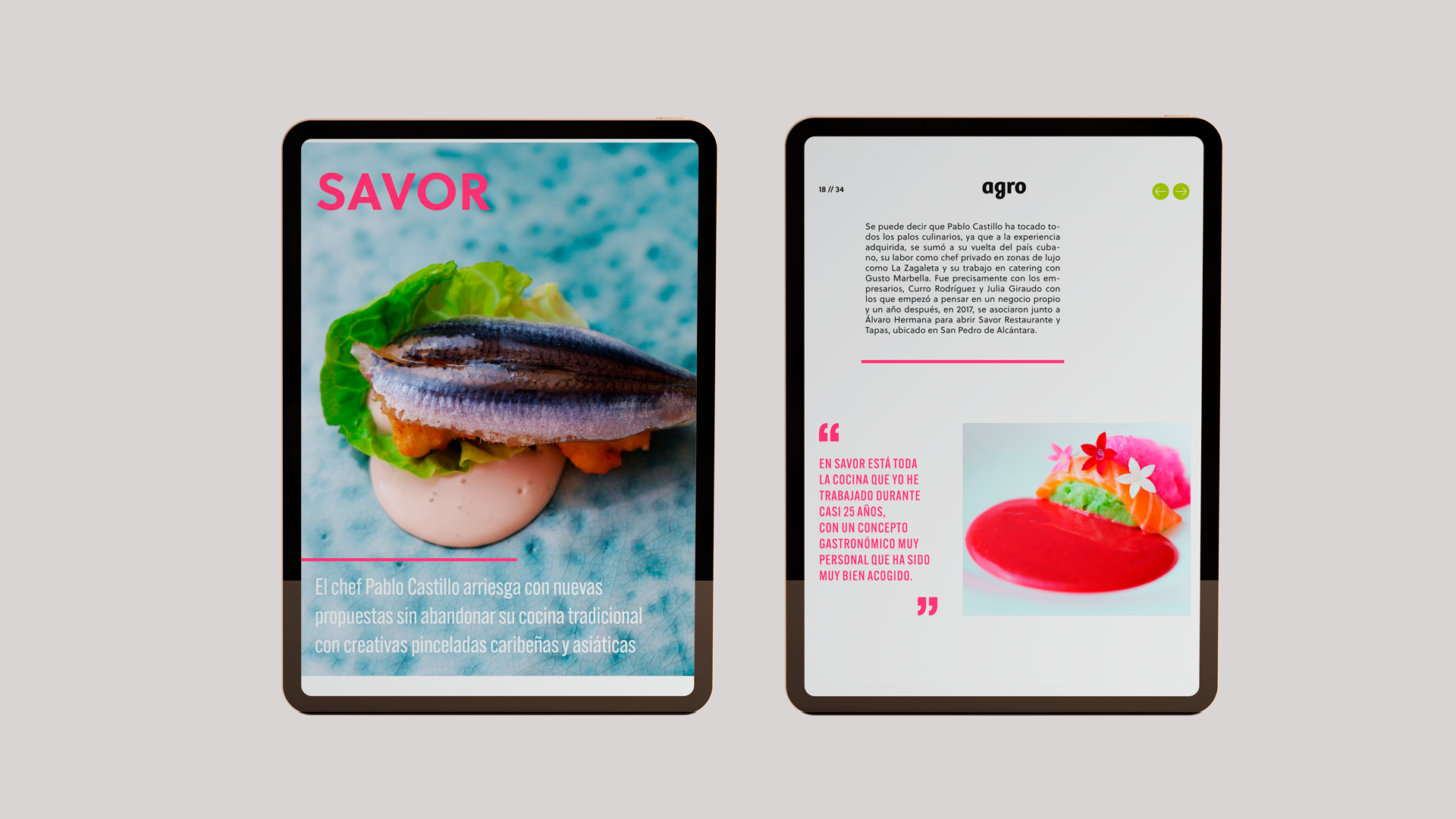 Revista interactiva Agro magazine