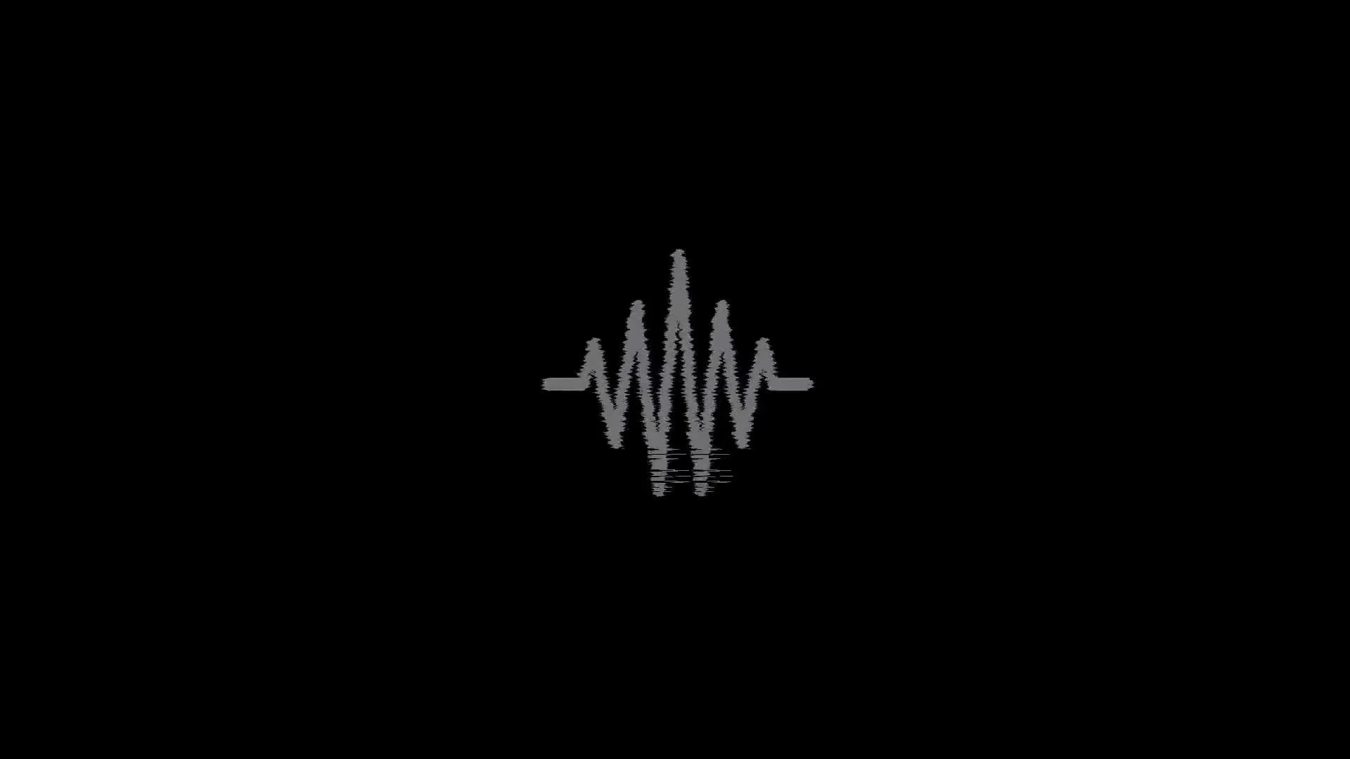 Audio waveform visual used for music branding and artist rollout campaigns