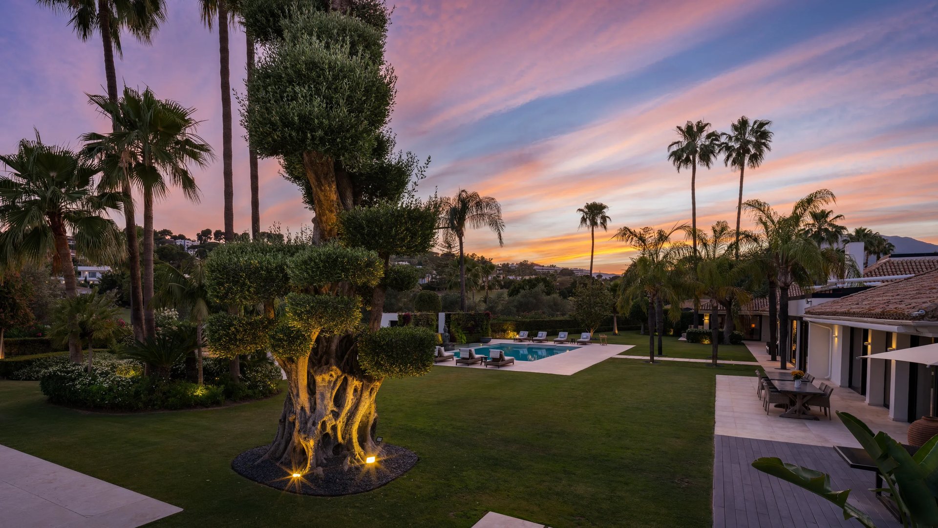 Sunset garden with fire pit and palm trees