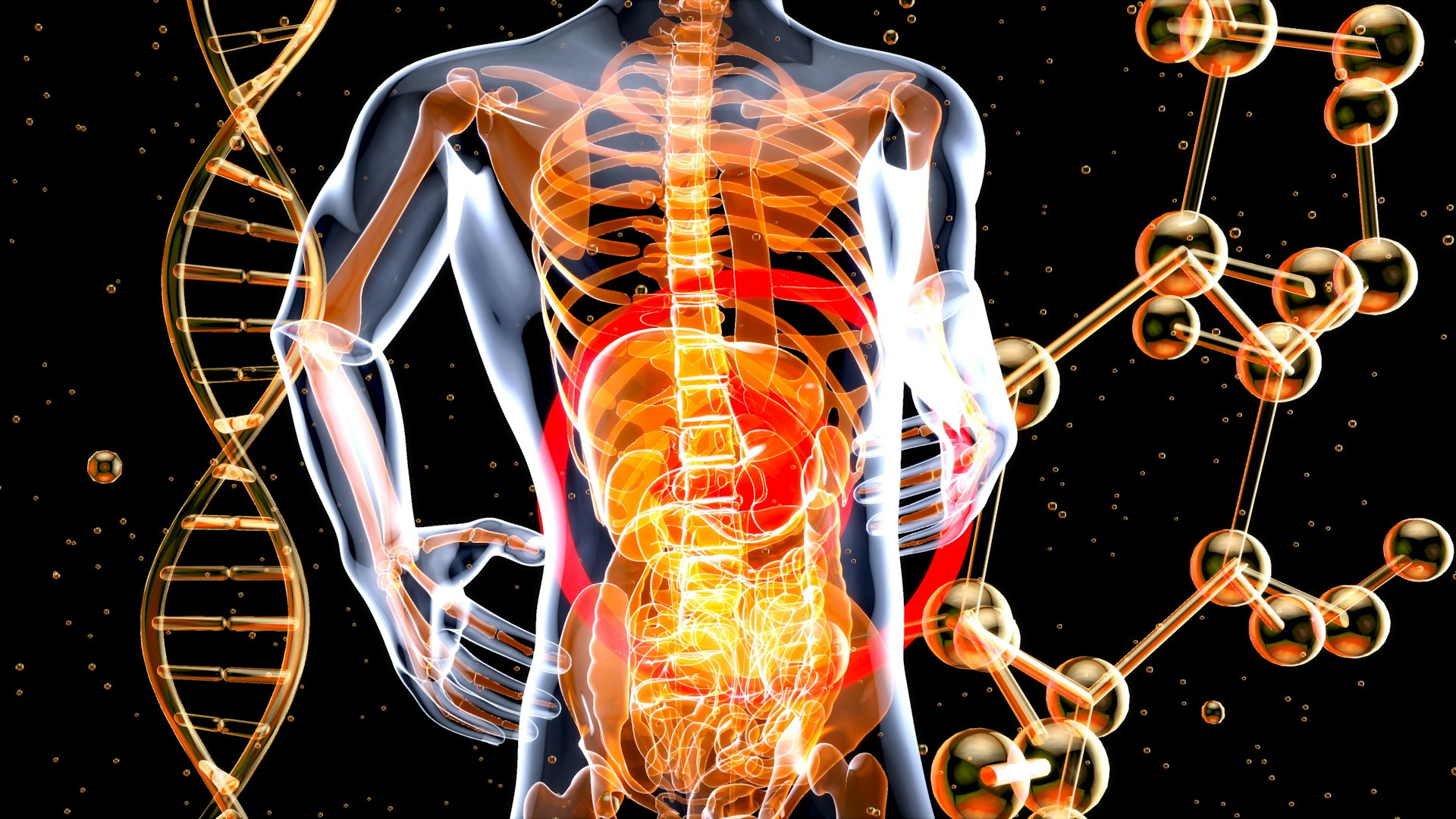 The Gut-Brain Connection: How Your Digestive Health Shapes Your Mental Wellbeing