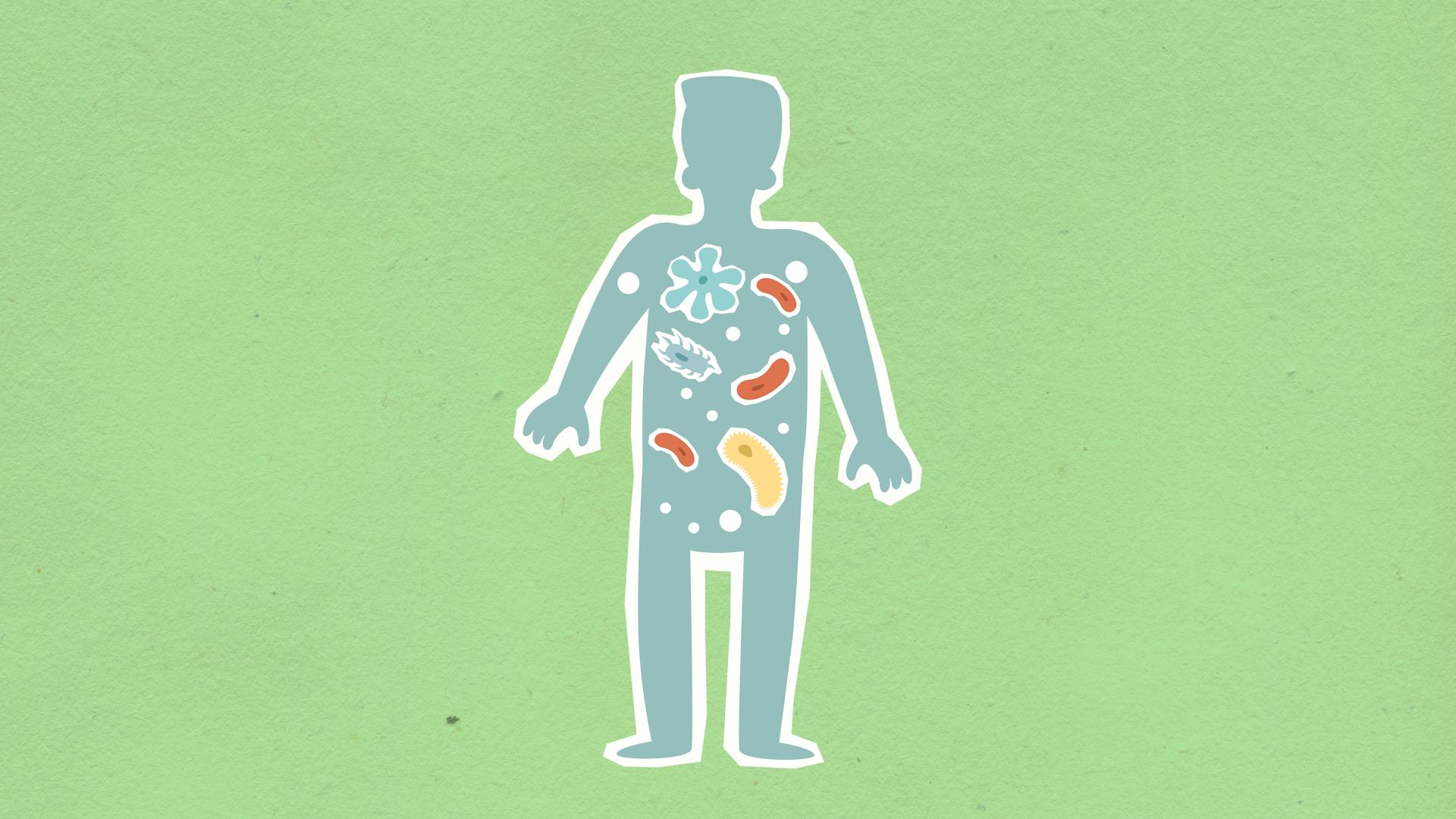 The Microbiome Revolution: How Your Gut Became the Body’s Second Brain
