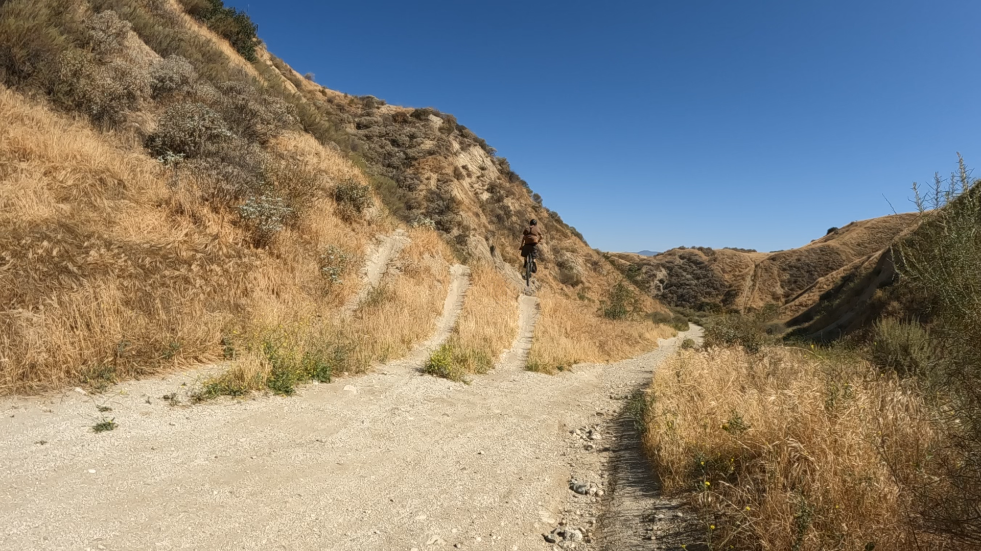 mountain bike trail with numerous takeoff jumps for different skill level