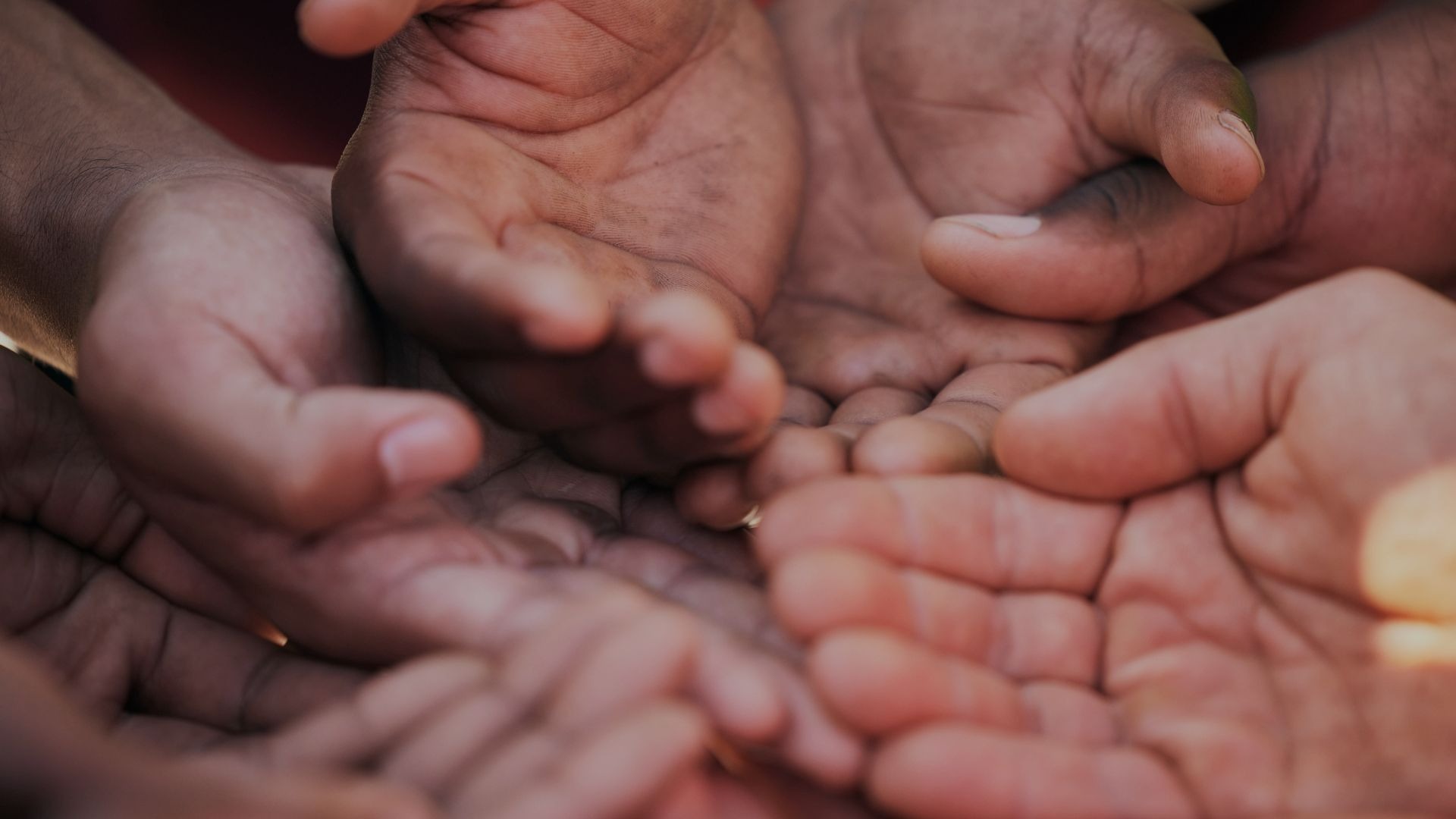 Donate to El Camí to support grassroots NGOs.