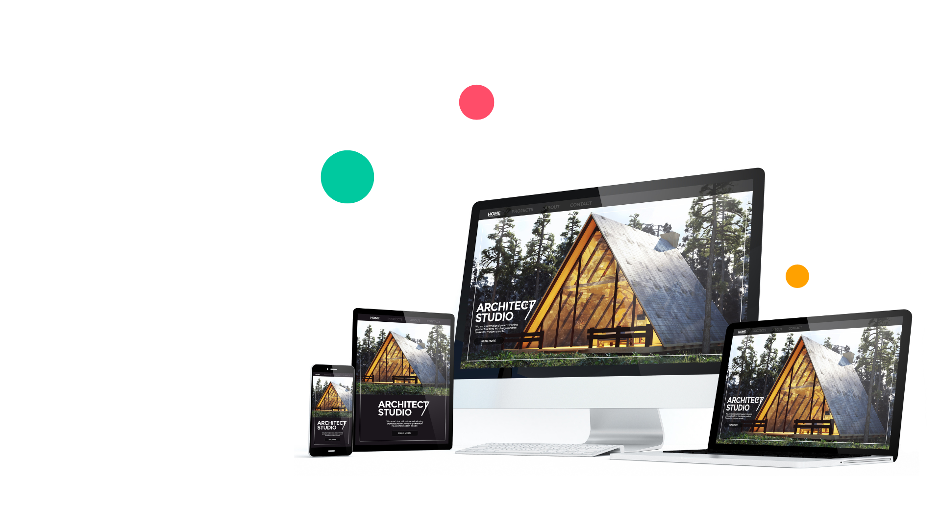 professional website