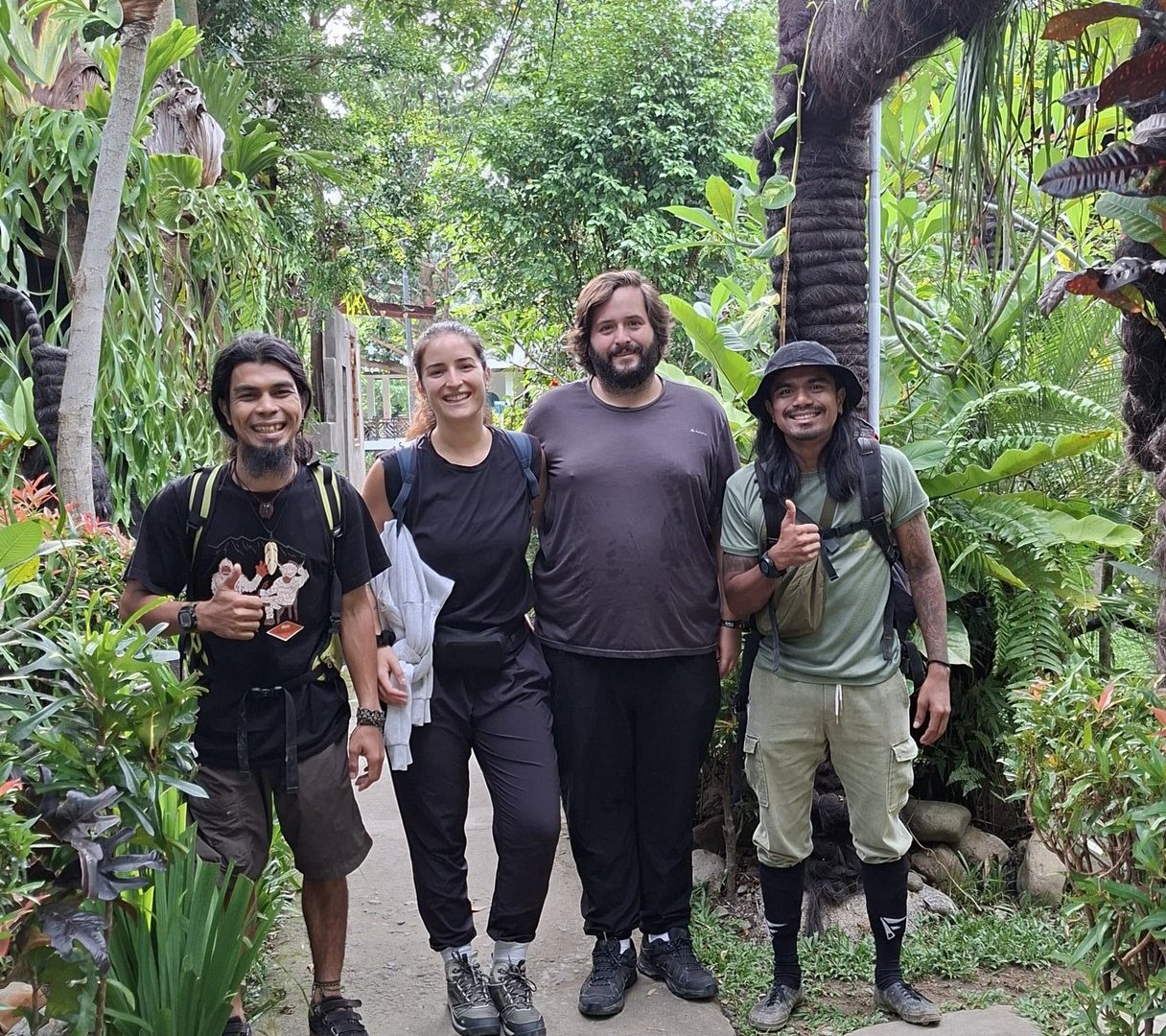 Lush green jungle canopy view for a half-day trek in Bukit Lawang