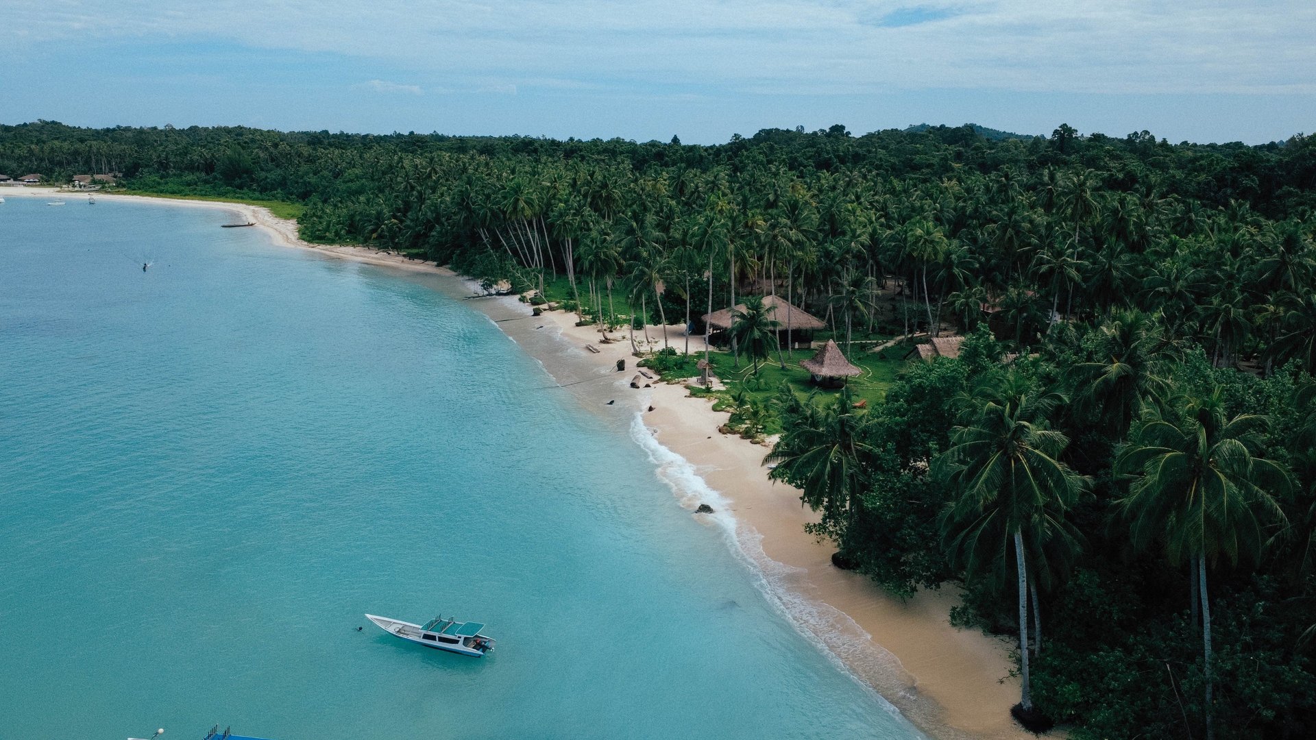 Idyllic beach and palm-fringed coastline of Awera Island, Mentawai — perfect island escape.