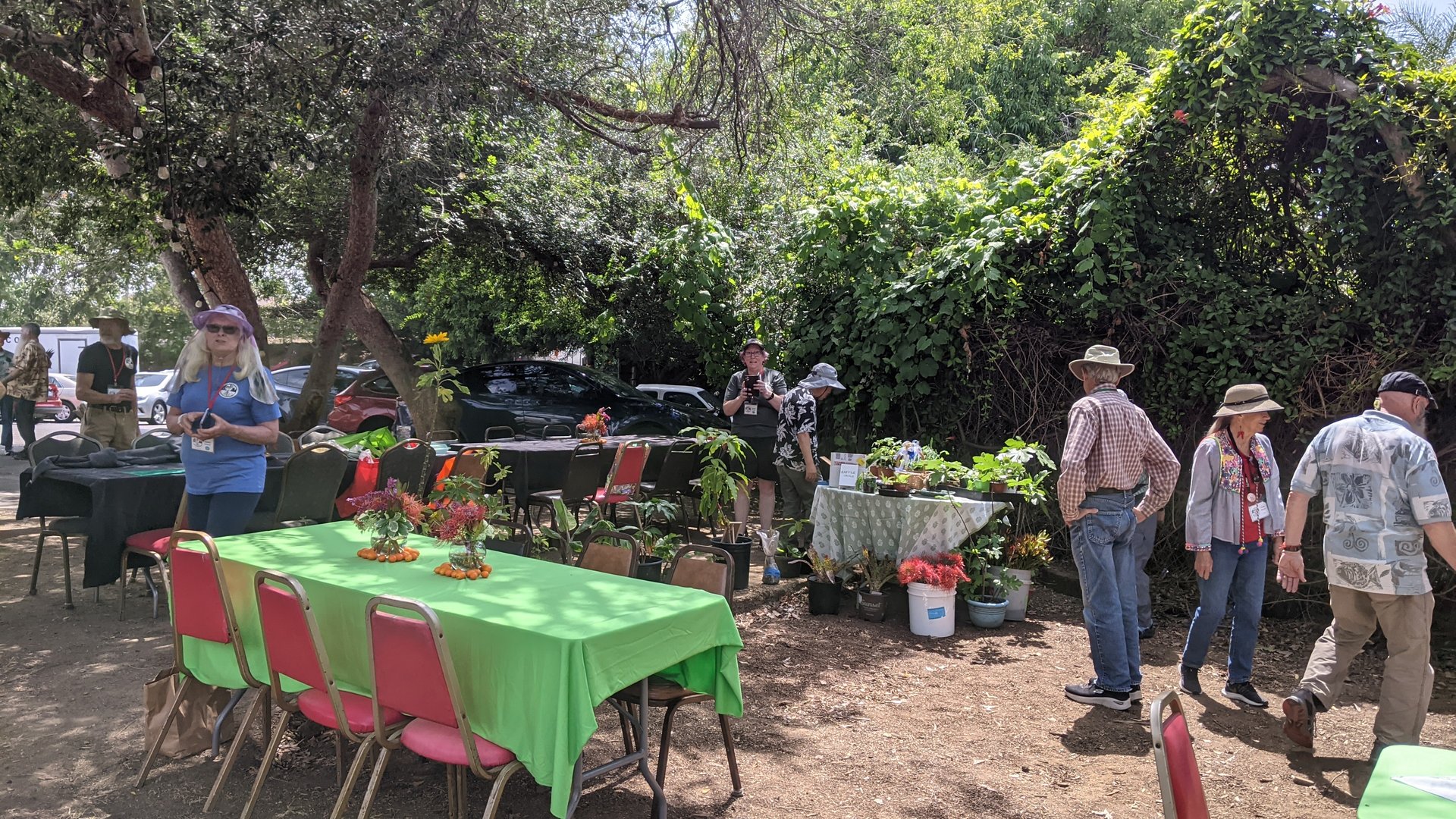 People setting up an outdoor event with tables, chairs and potted plants