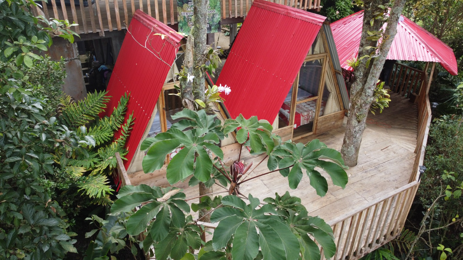 Bosque húmedo y sendero ecológico en la Reserva El Vergel Anzoátegui