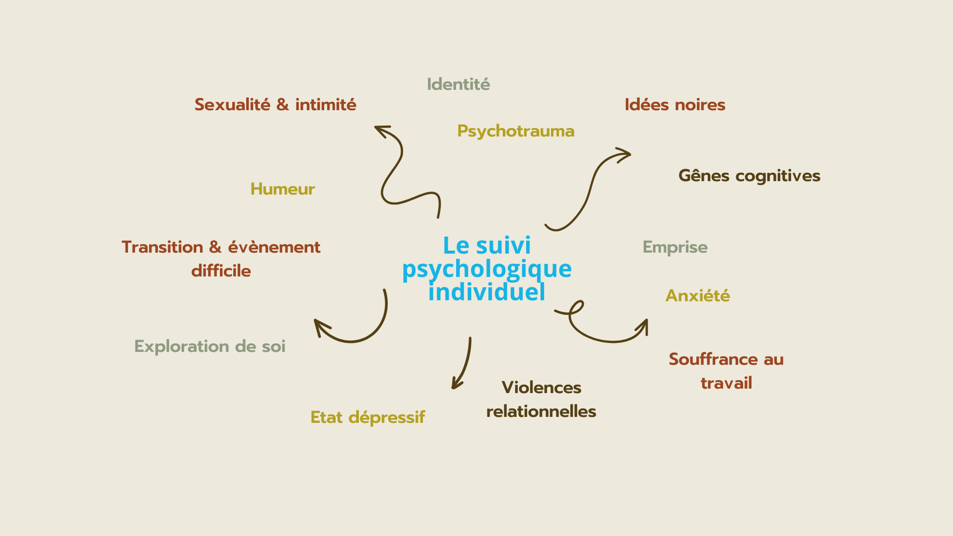 Schéma des thématiques prises en charge en suivi psychologique individuel. 