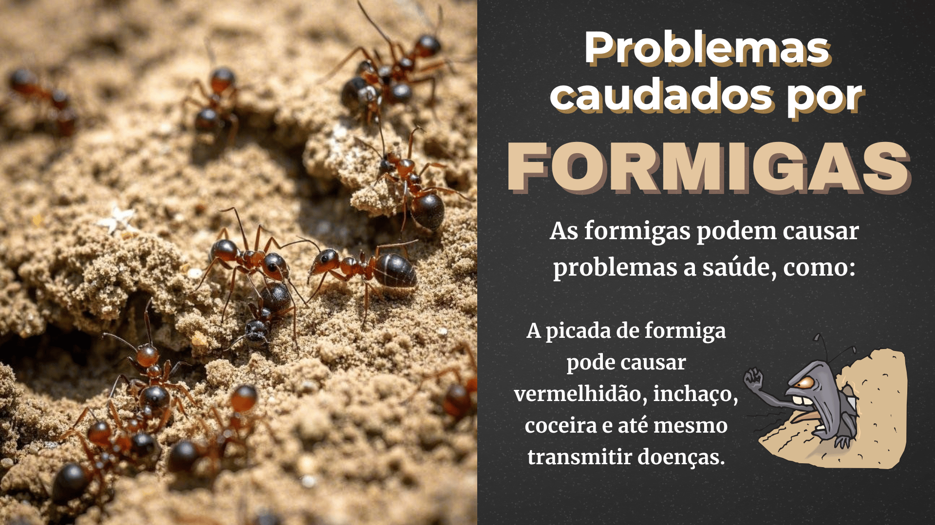slides informativo para controle de ratos