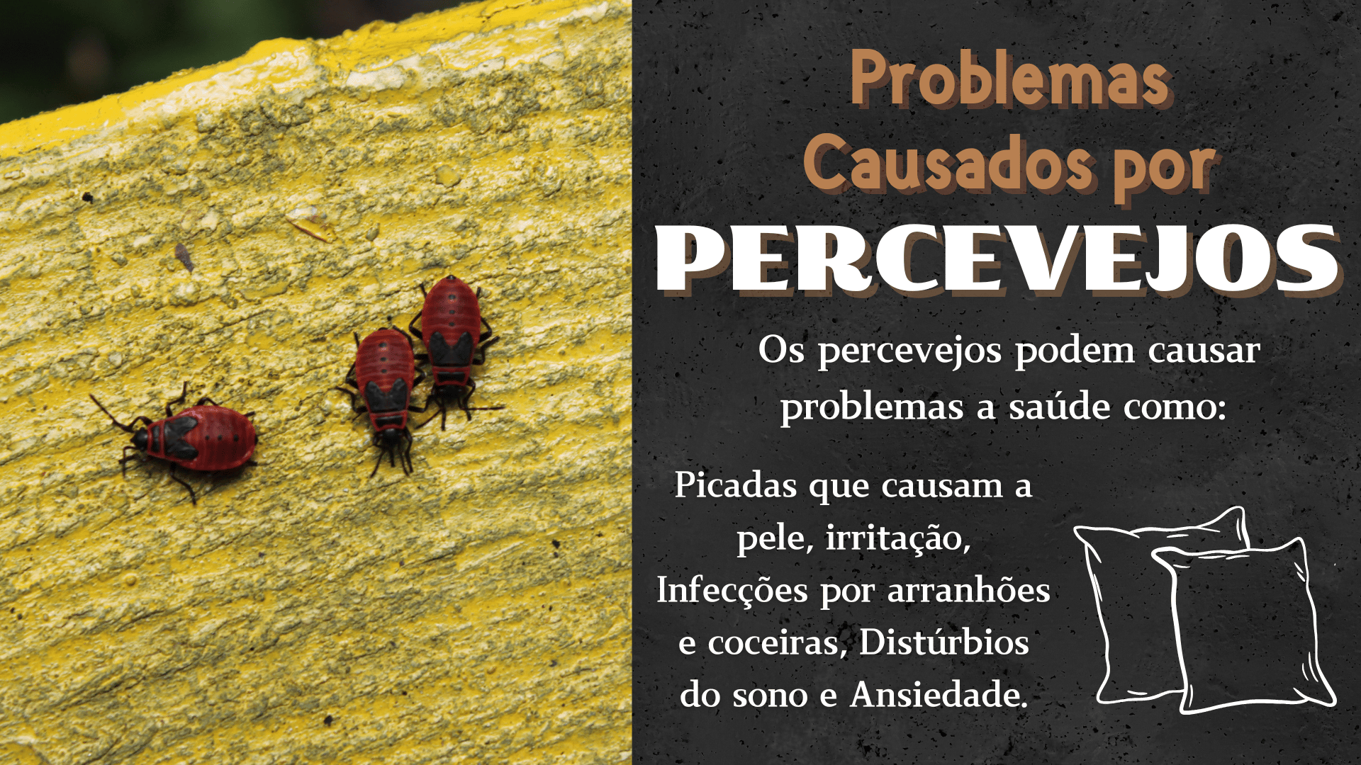 percevejo
