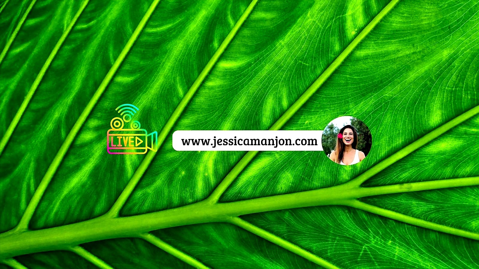 Psicóloga & Terapia Gestalt en Castellón | Jéssica Manjón Puig