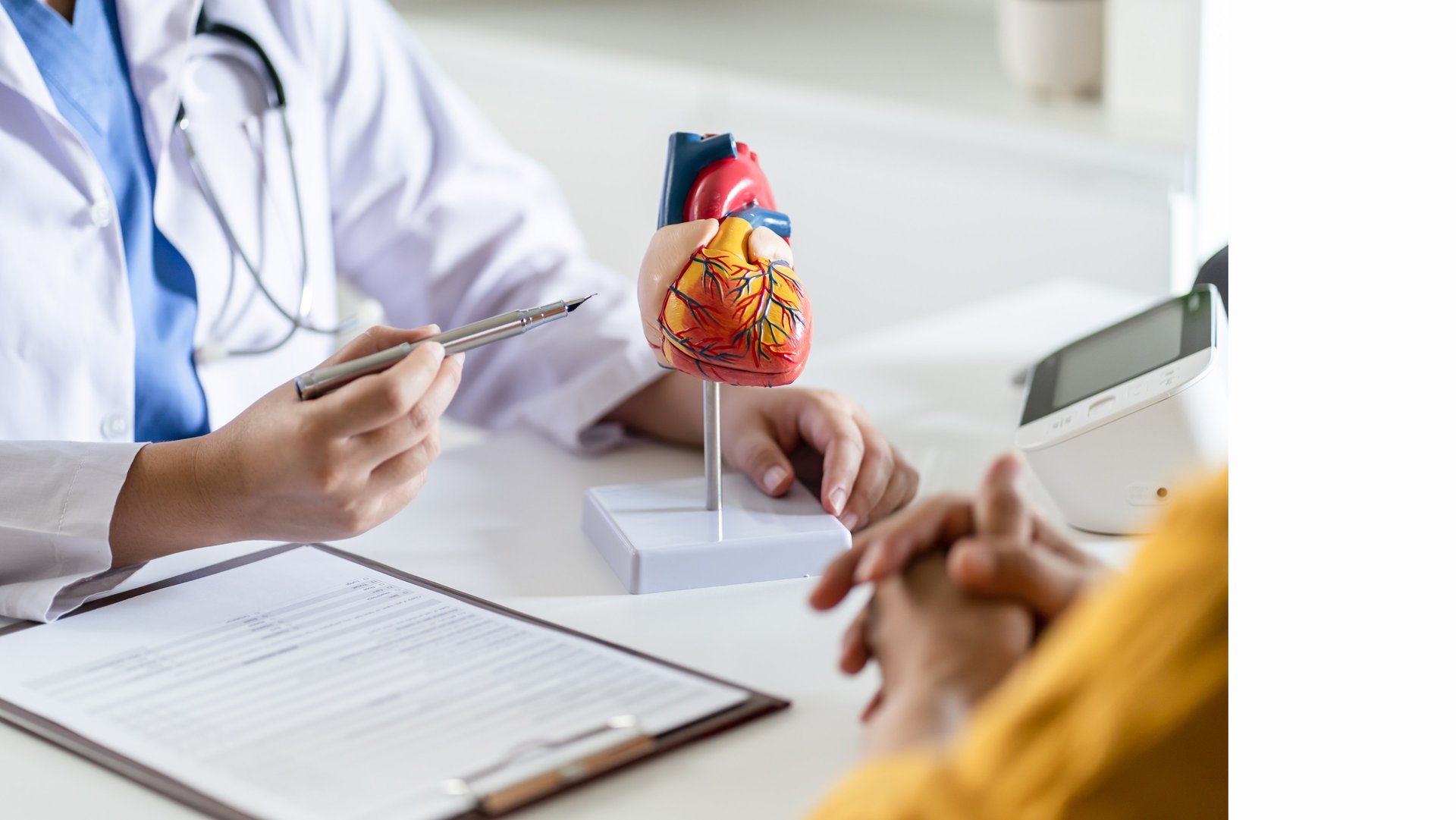 Medico experto en cardiologia