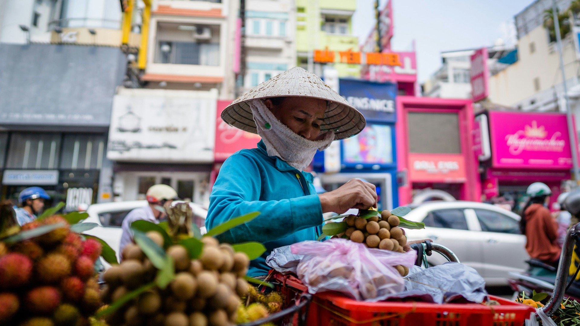 Local woman wearing a conical hat packing fruit on a sunny day in Vietnam, showing everyday life.