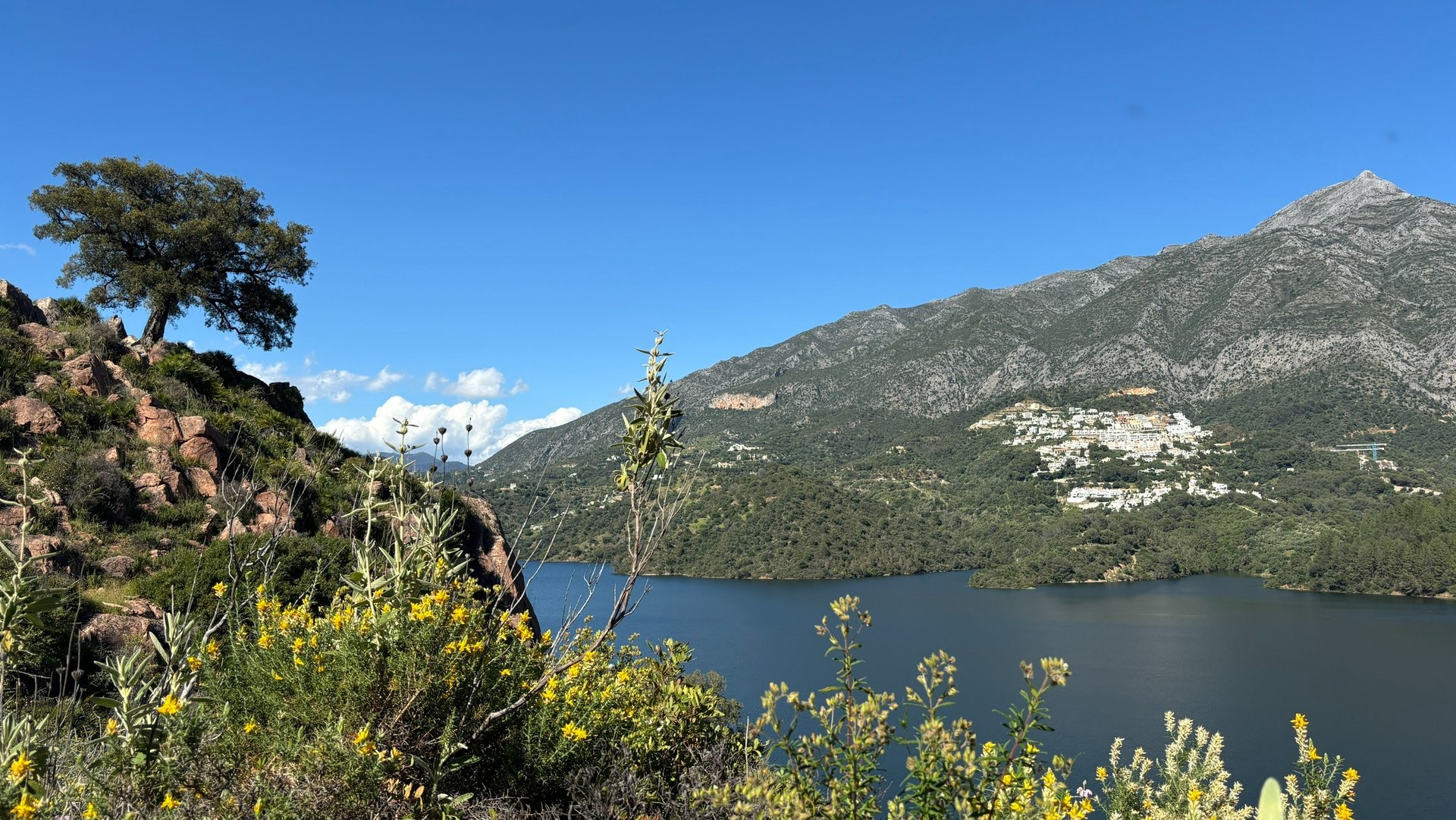 A tree growing from the rock and a white pueblo in the mountains
