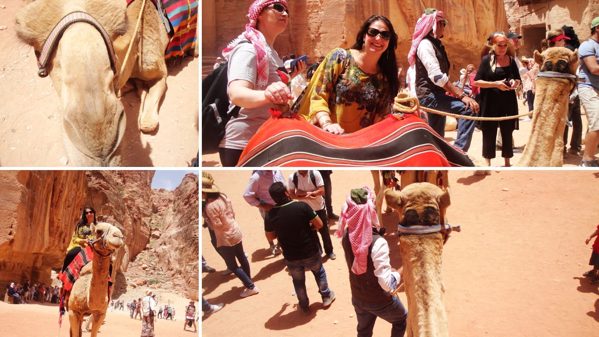 Autora sorrindo enquanto segura as rédeas do camelo durante o passeio.