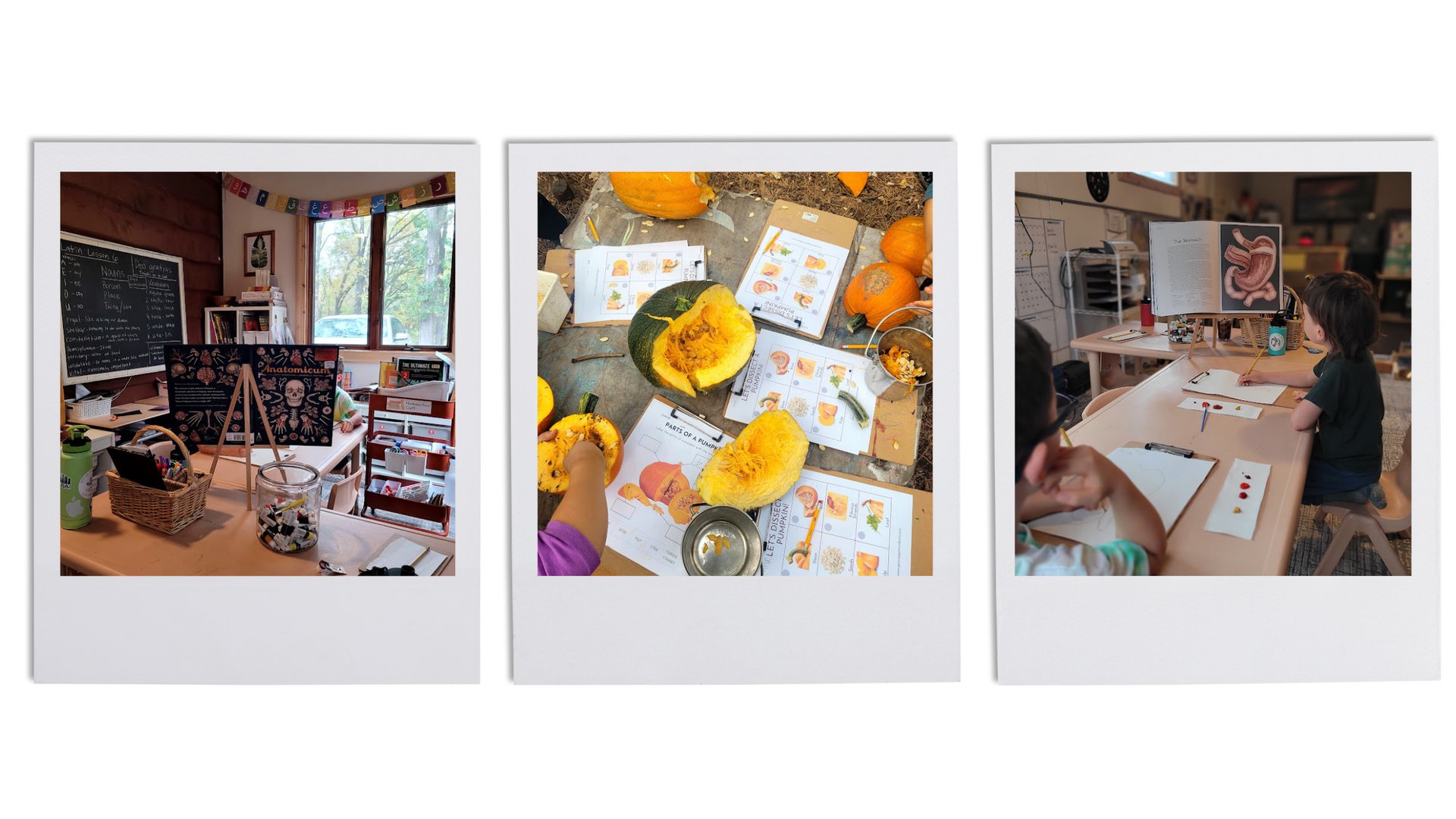 homeschooling photos