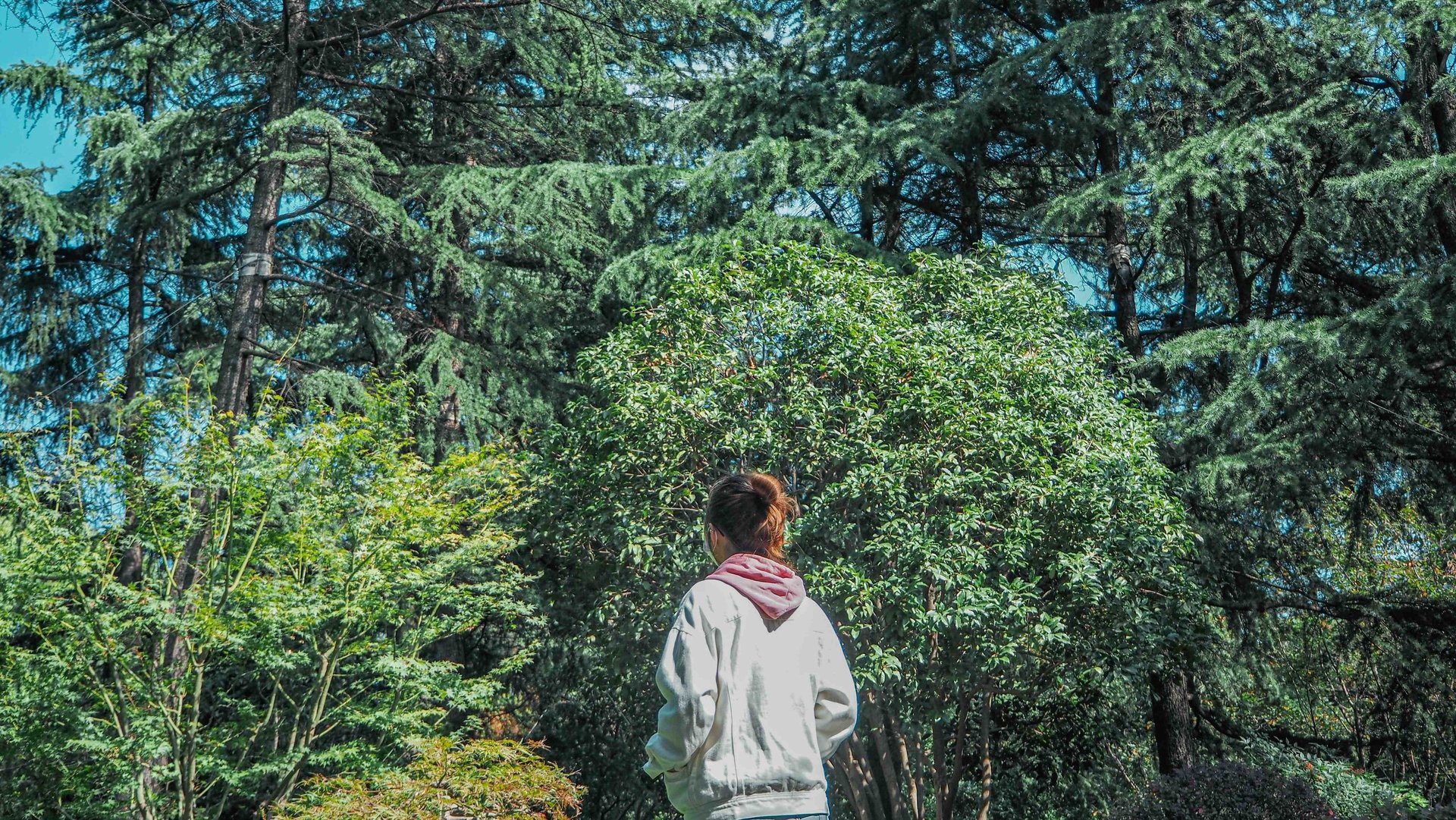 Just another sunny afternoon in the human compost patch. Don't worry, they're getting all their essential nutrients