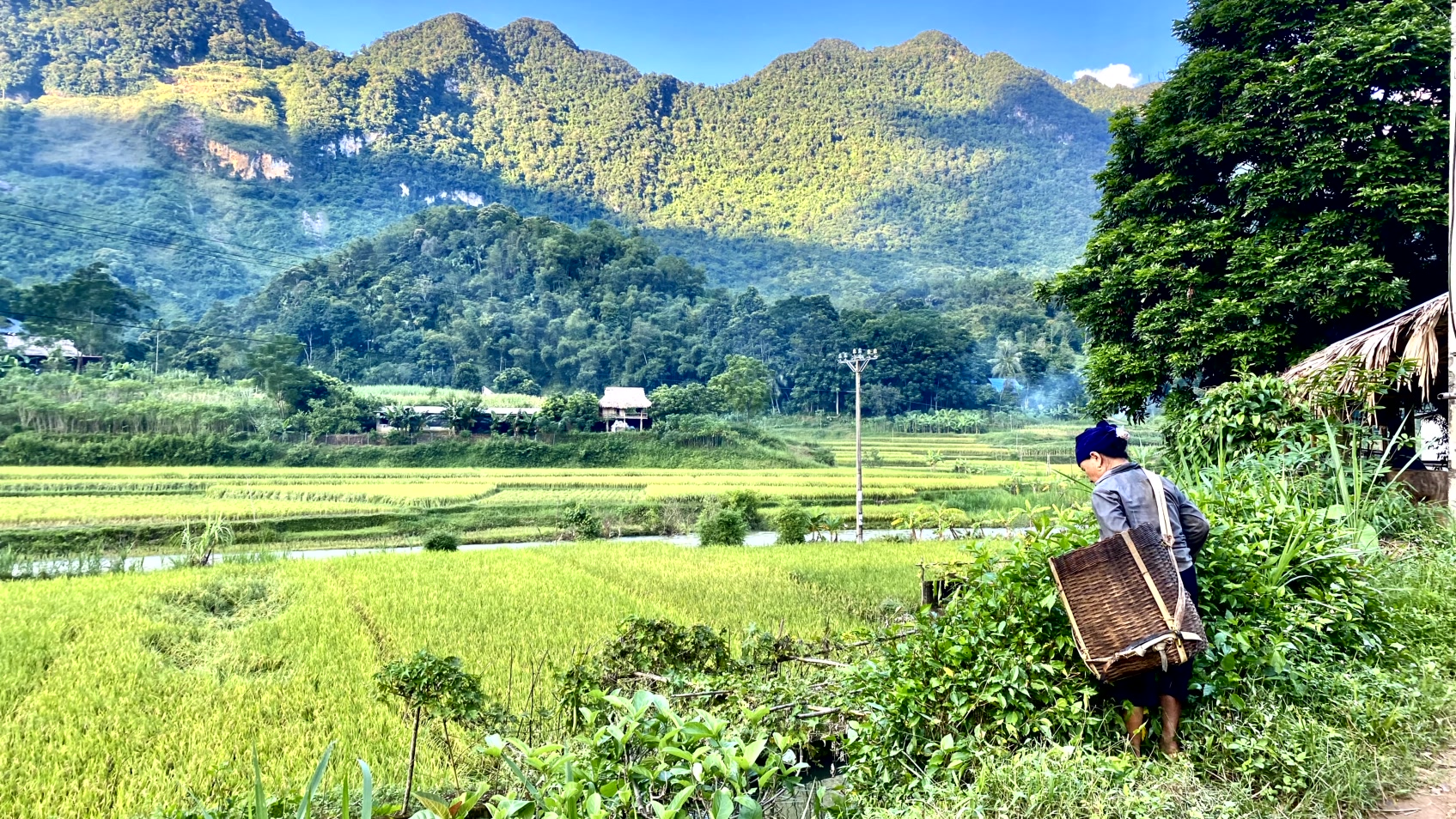 Vietnam people