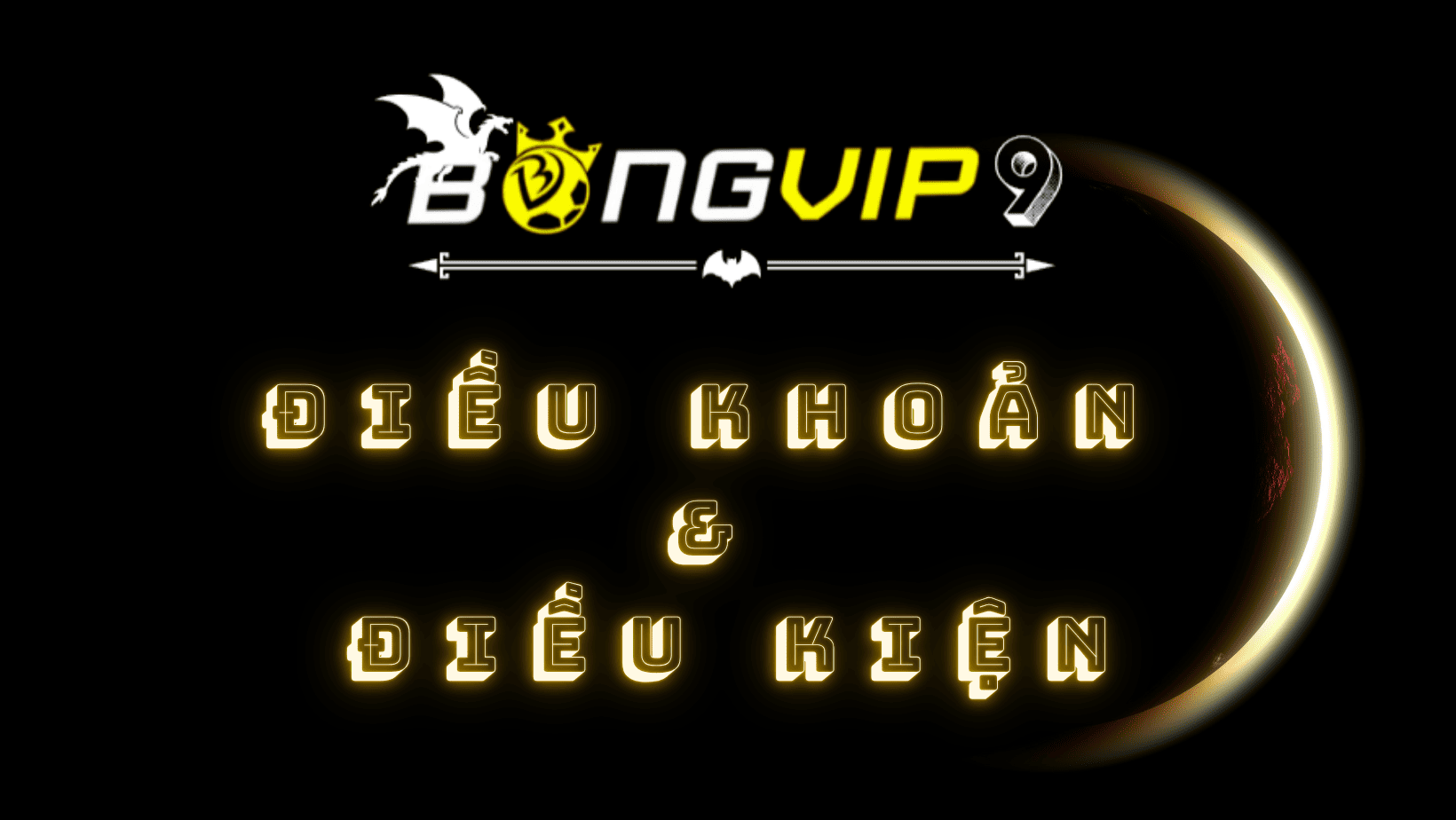 dieukhoanvadieukien-bongvip