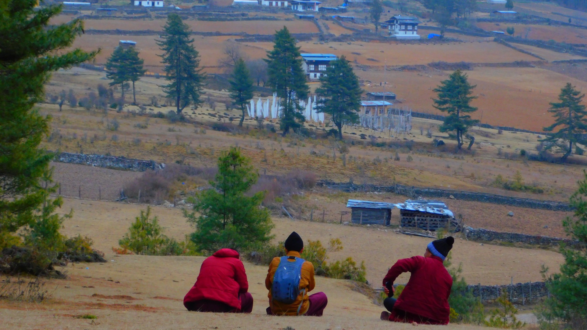 Group Travel