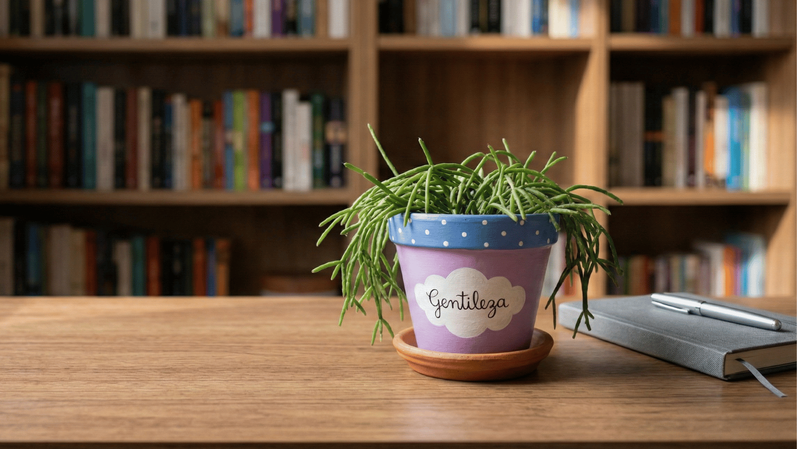 um vaso com uma planta sobre uma mesa