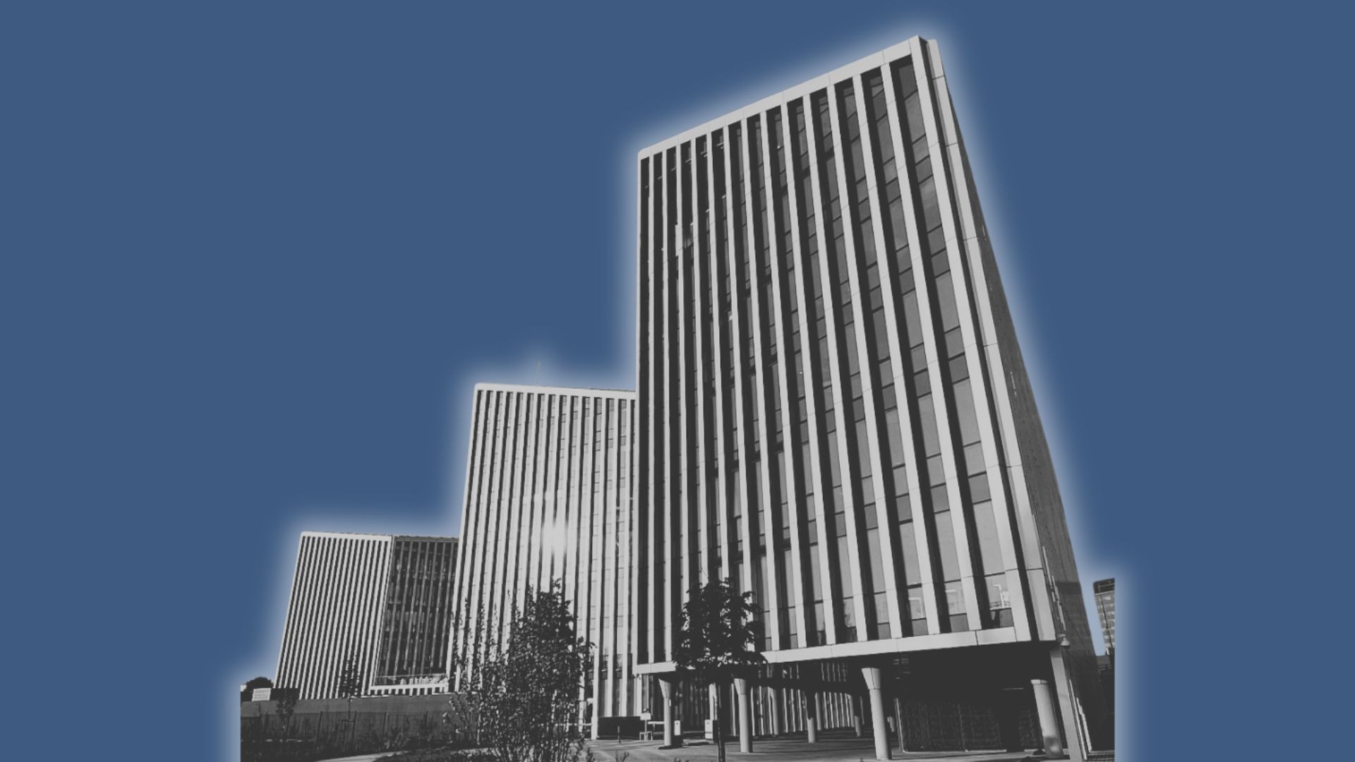 a Salve Agency building