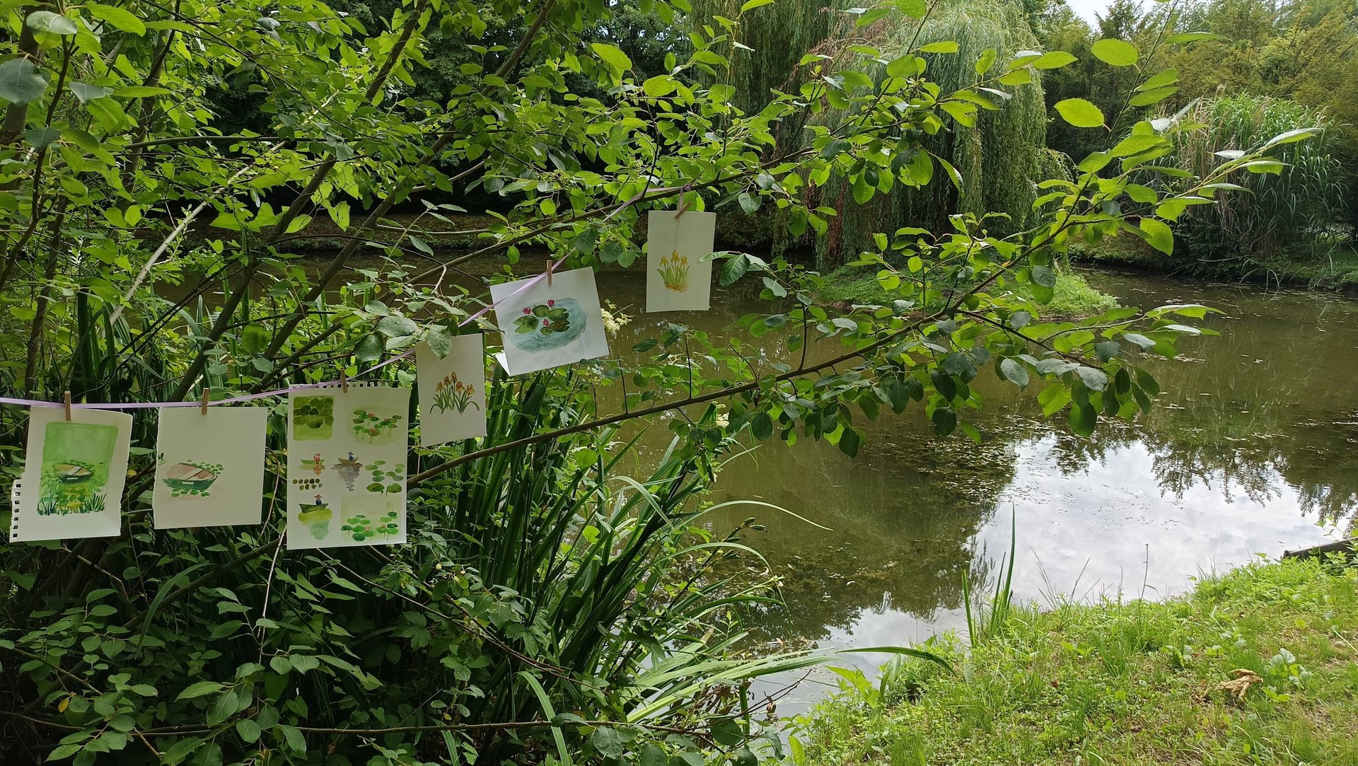 journee-aquarelle-pleine-nature-reims.jpg