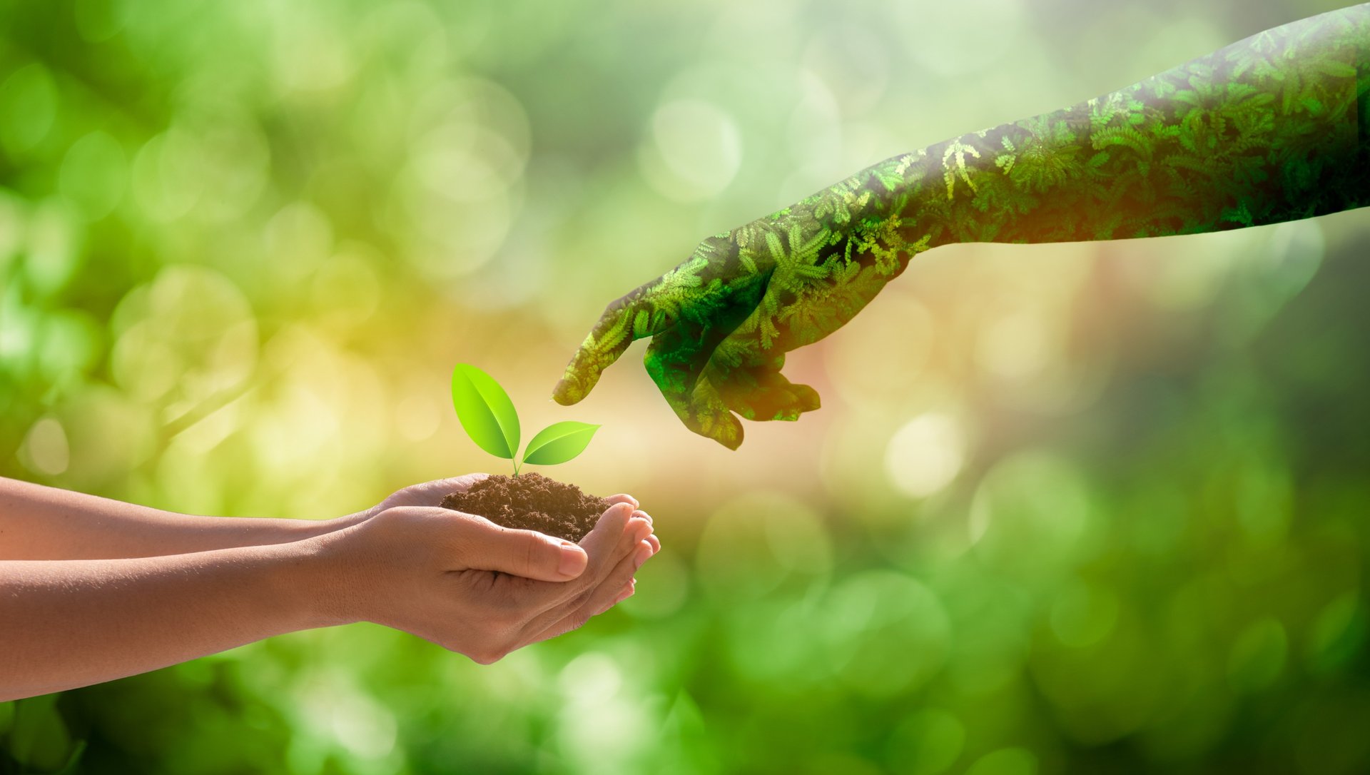 metier de la nature qui paye bien