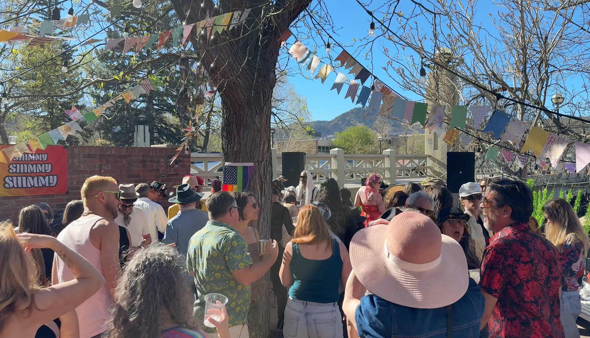 Shimmy number 8 Sprang