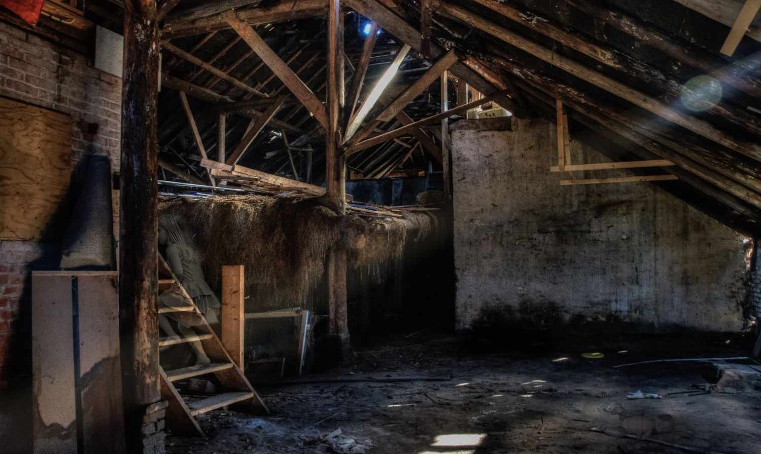 attic space in Colorado Springs home showing mold growth on roof decking caused by inadequate ventilation and condensation