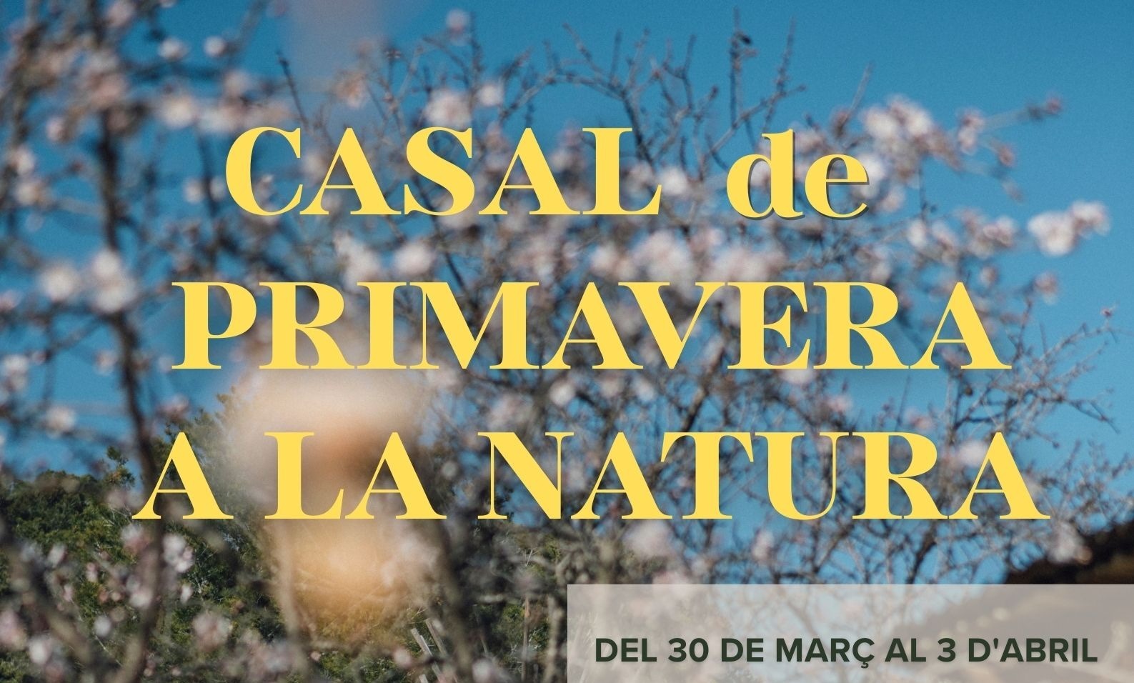 Casal de Primavera 2026 El Petit Eden