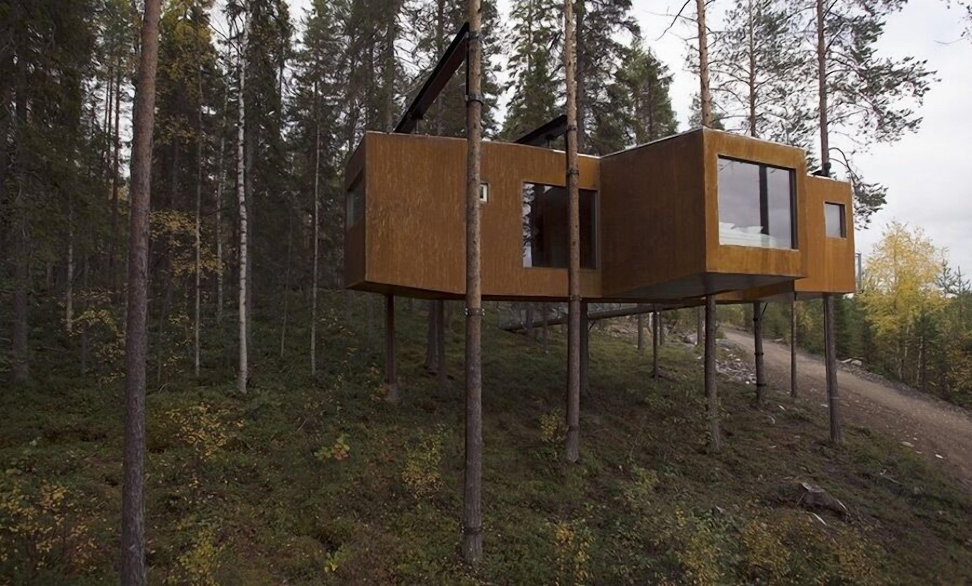 A modern, elevated treehouse hotel cabin suspended in a lush pine forest for a luxury nature retreat.