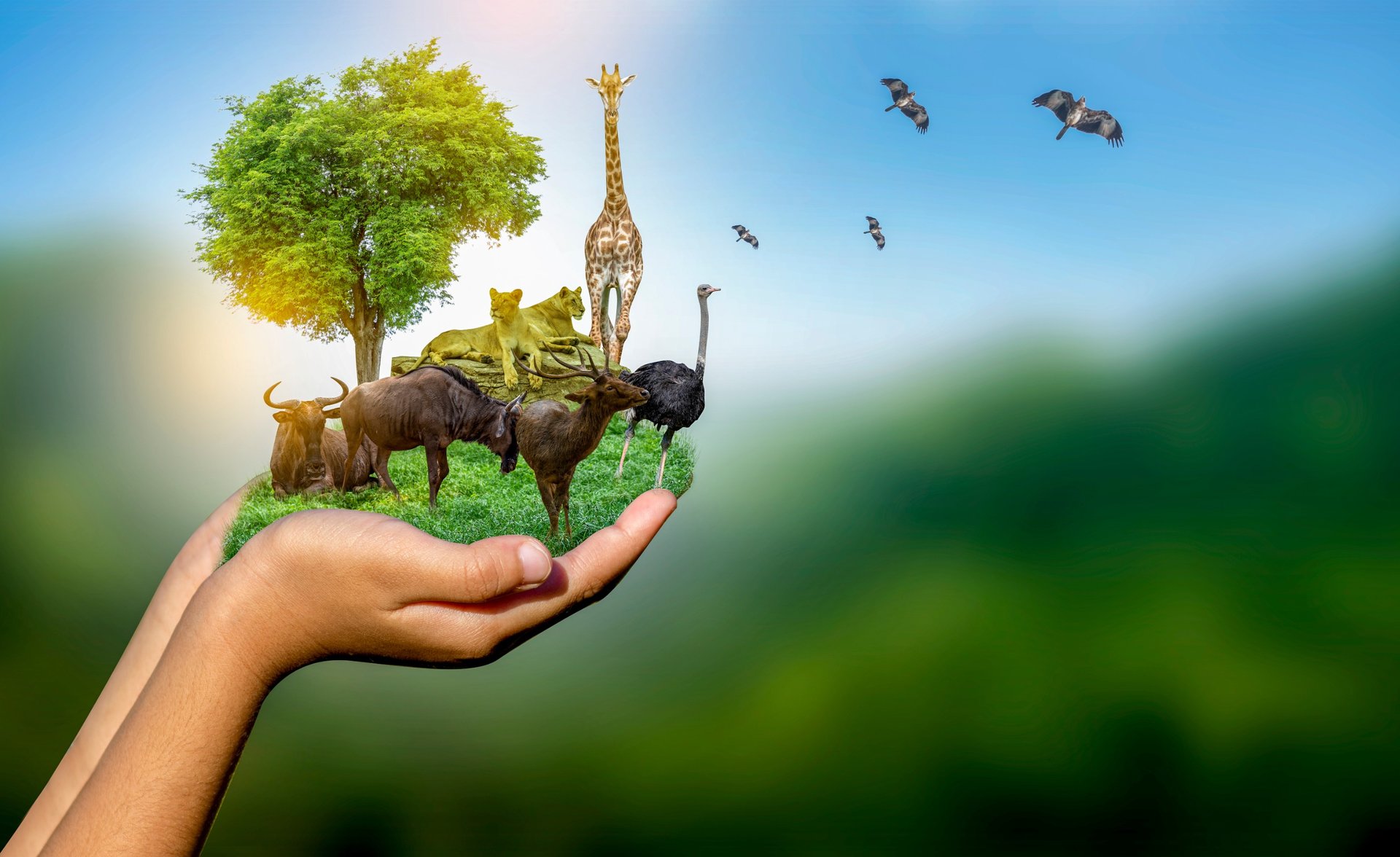 métier en rapport avec la nature et les animaux