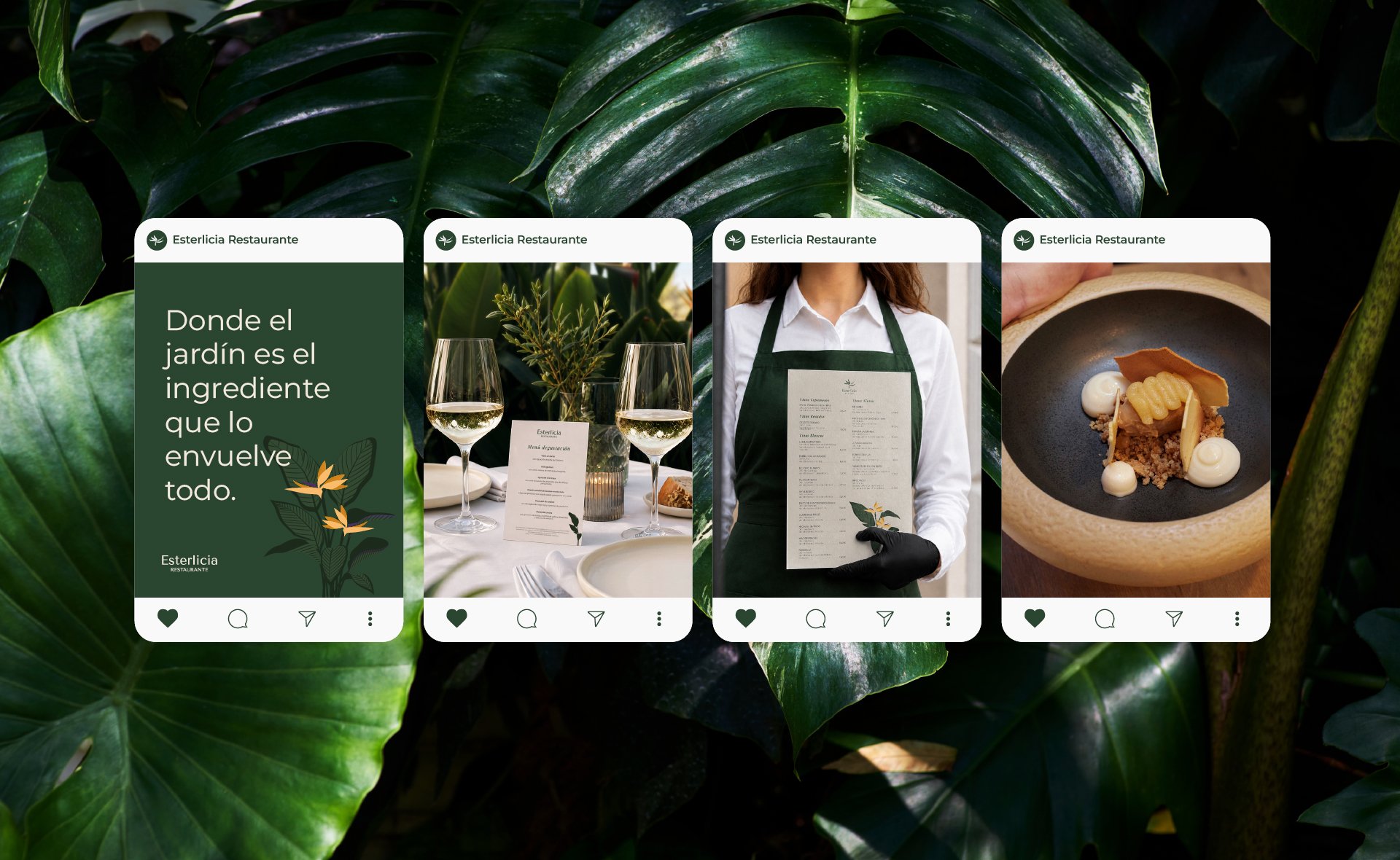 Diseno de cuatro publicaciones para redes sociales sobre fondo de naturaleza