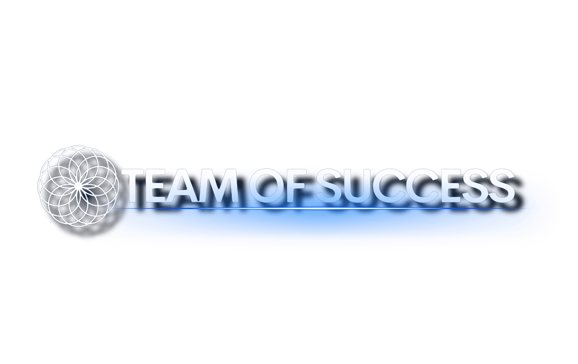 team of success
