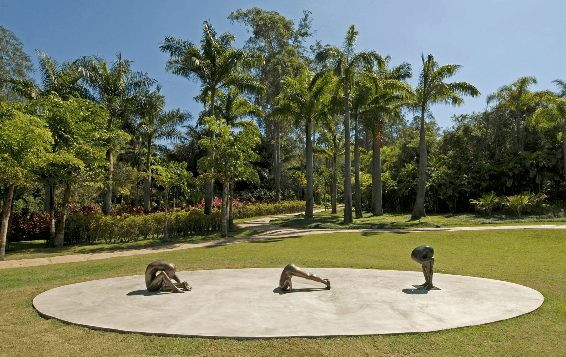 Edgard de Souza, 2000/2005, Da coleção de: Instituto Inhotim