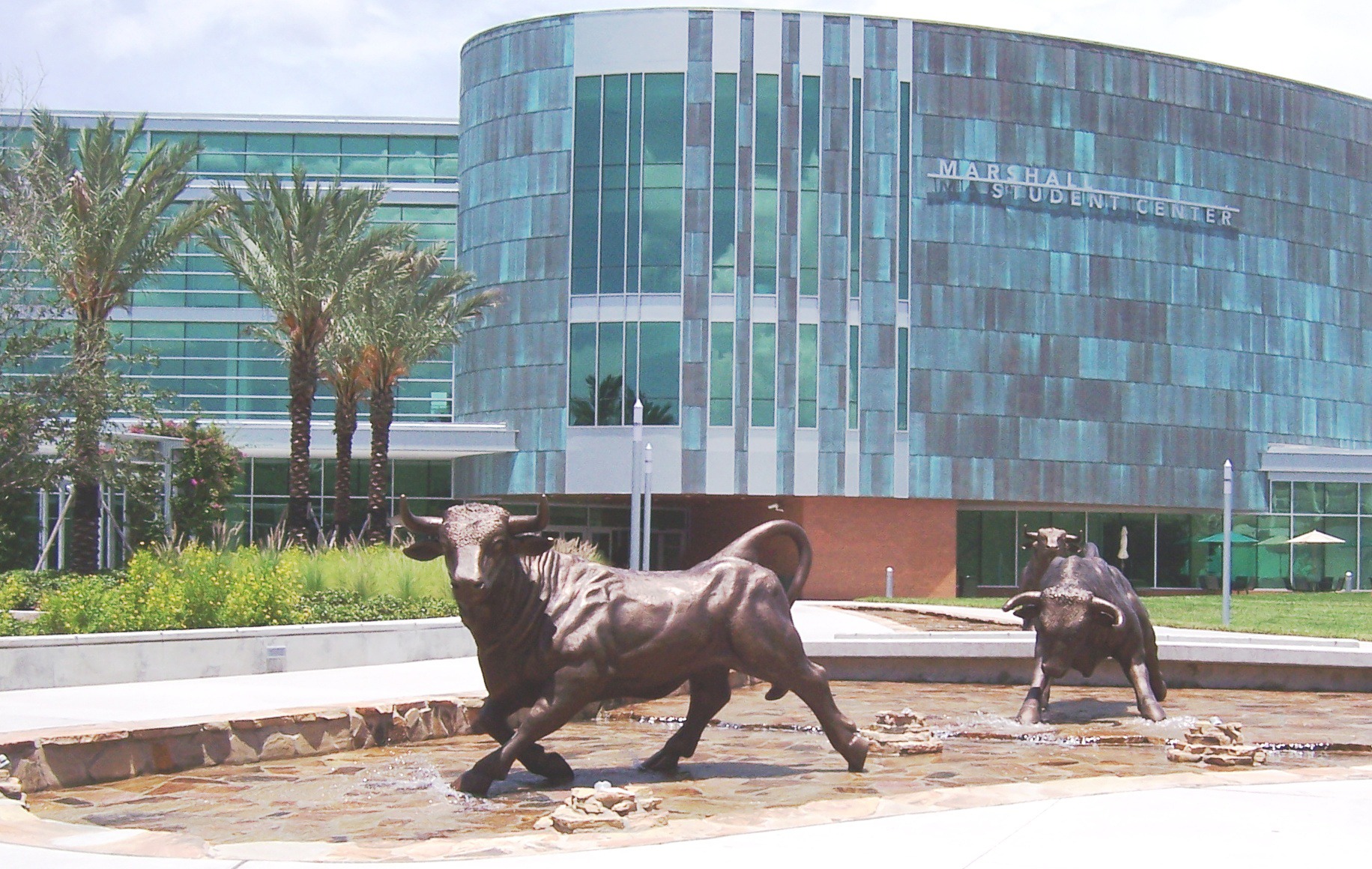 university of south florida bull statue