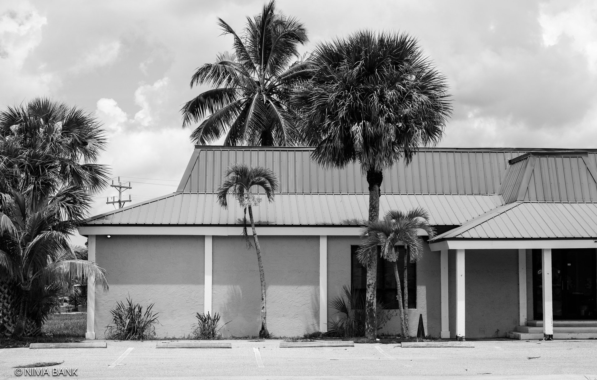 an old abandoned store and some palm trees in everglades city florida