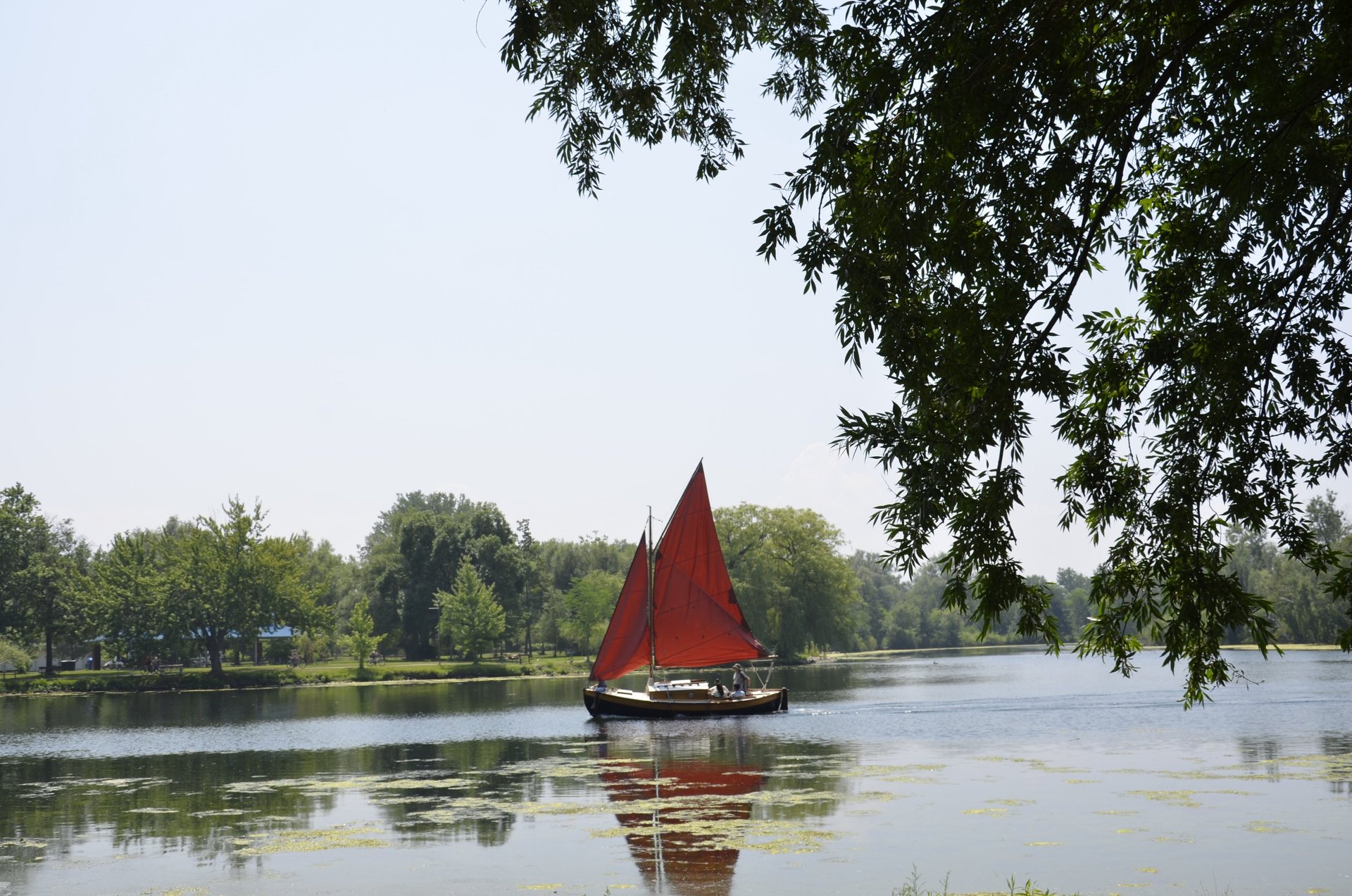 Sailing on Long Pond off Toronto Island Park - Middle Island