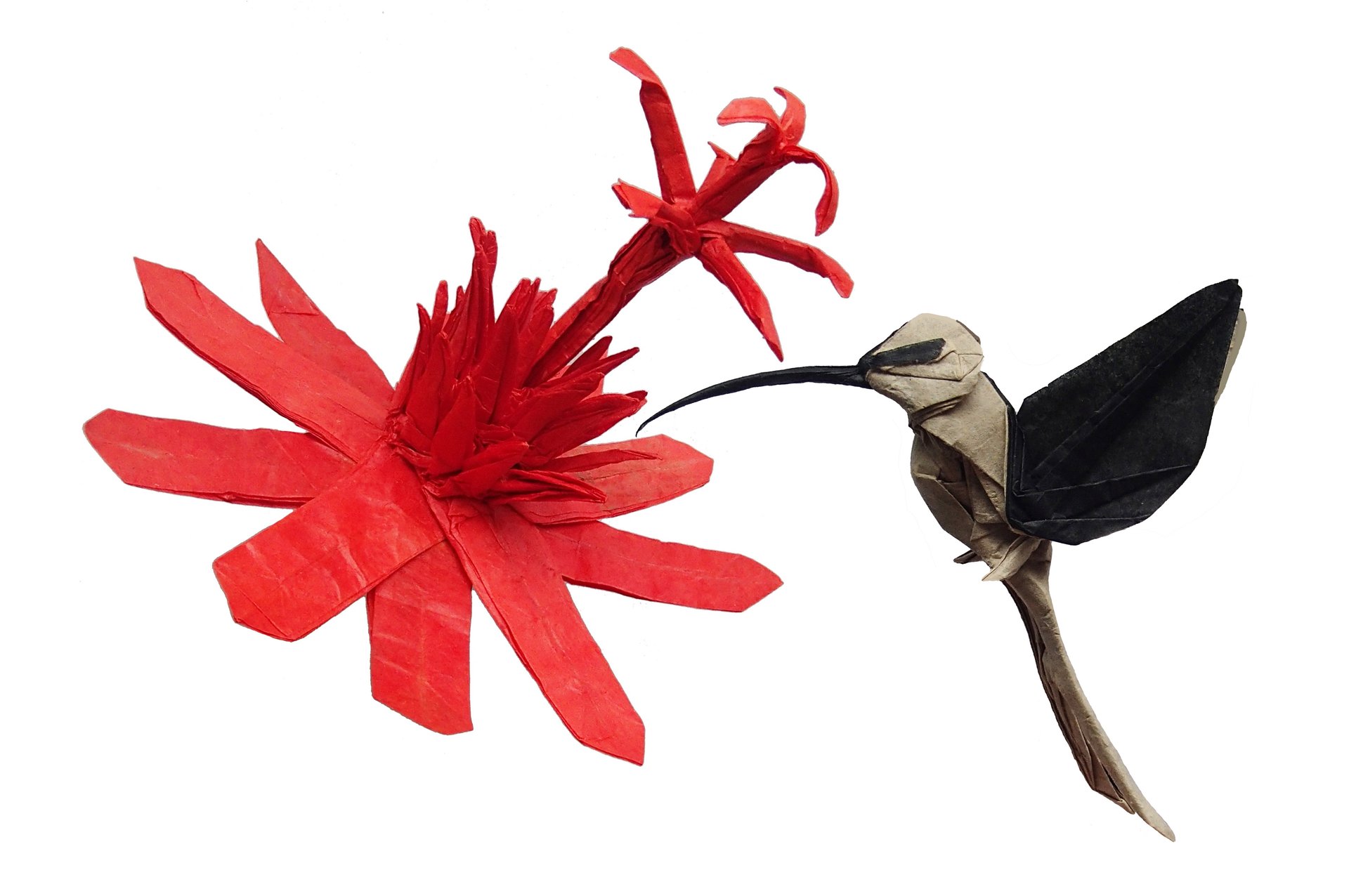 Origami hermit hummingbird