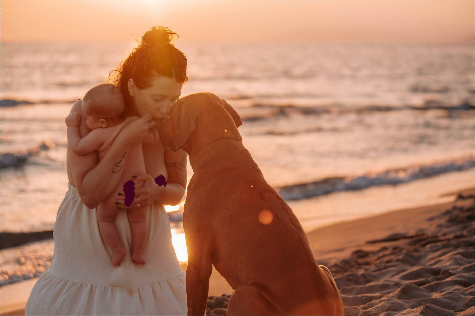 neonato abbracciato alla mamma che bacia al cane sulla spiaggia al tramonto