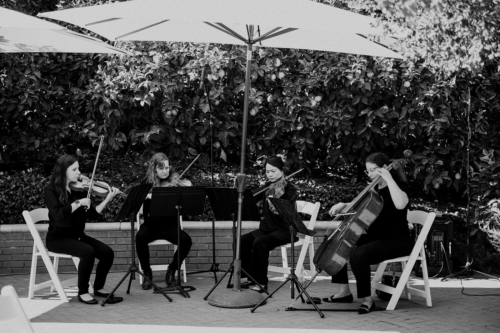 Professional string quartet performing live music at a wedding ceremony in Hummingbird Nest Ranch