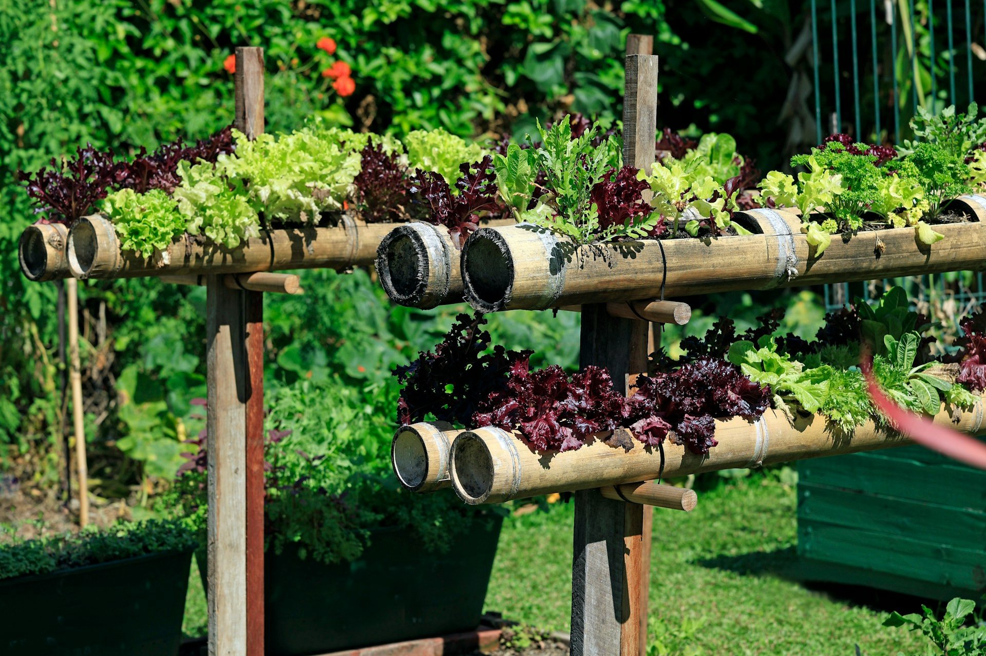 a vertical garden with multiple vegetables